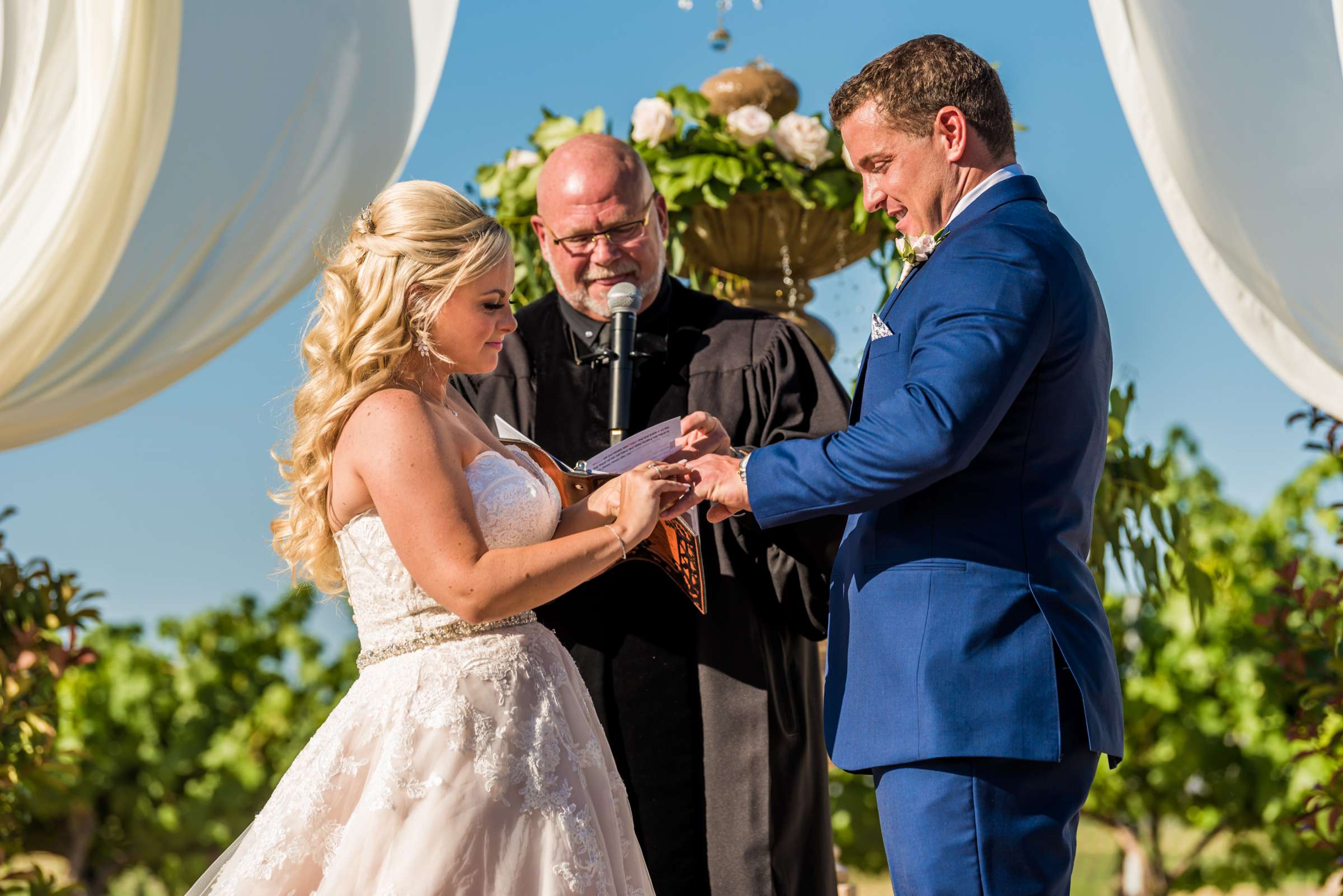 Mount Palomar Winery Wedding, Meg and Eric Wedding Photo #477498 by True Photography