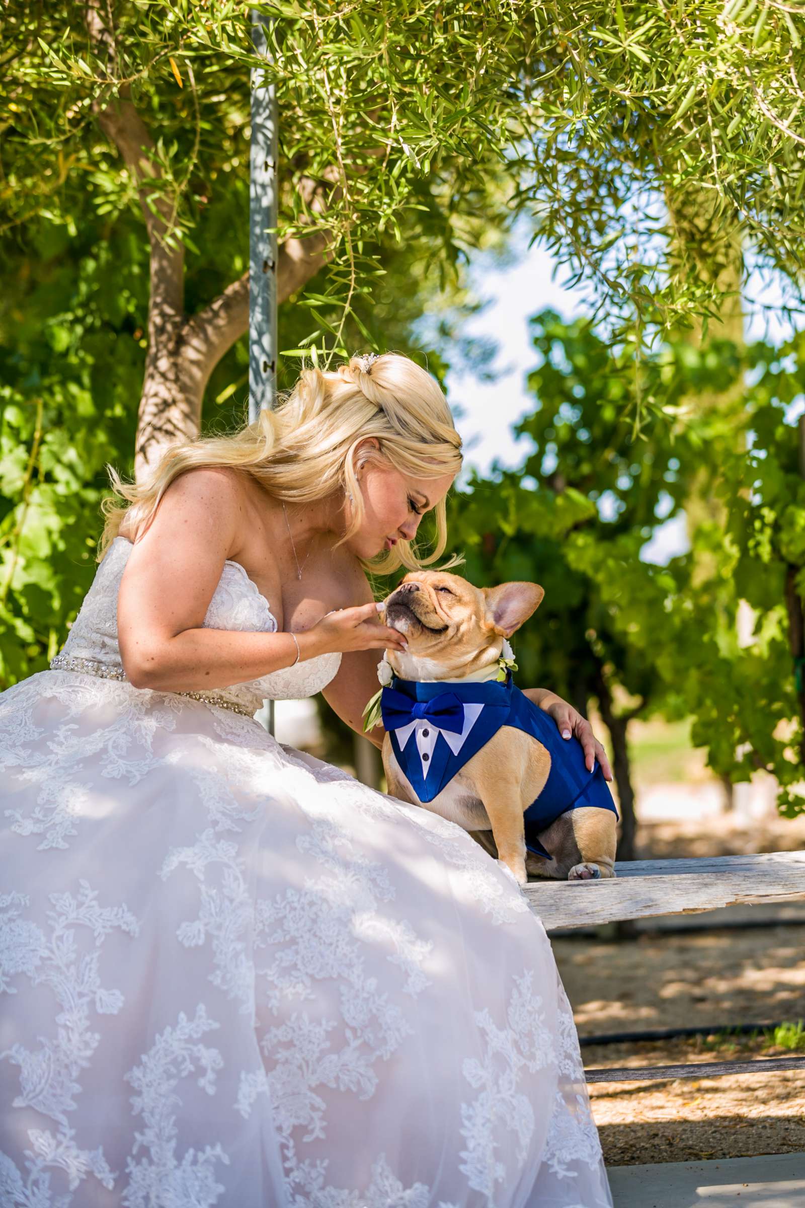 Mount Palomar Winery Wedding, Meg and Eric Wedding Photo #477524 by True Photography