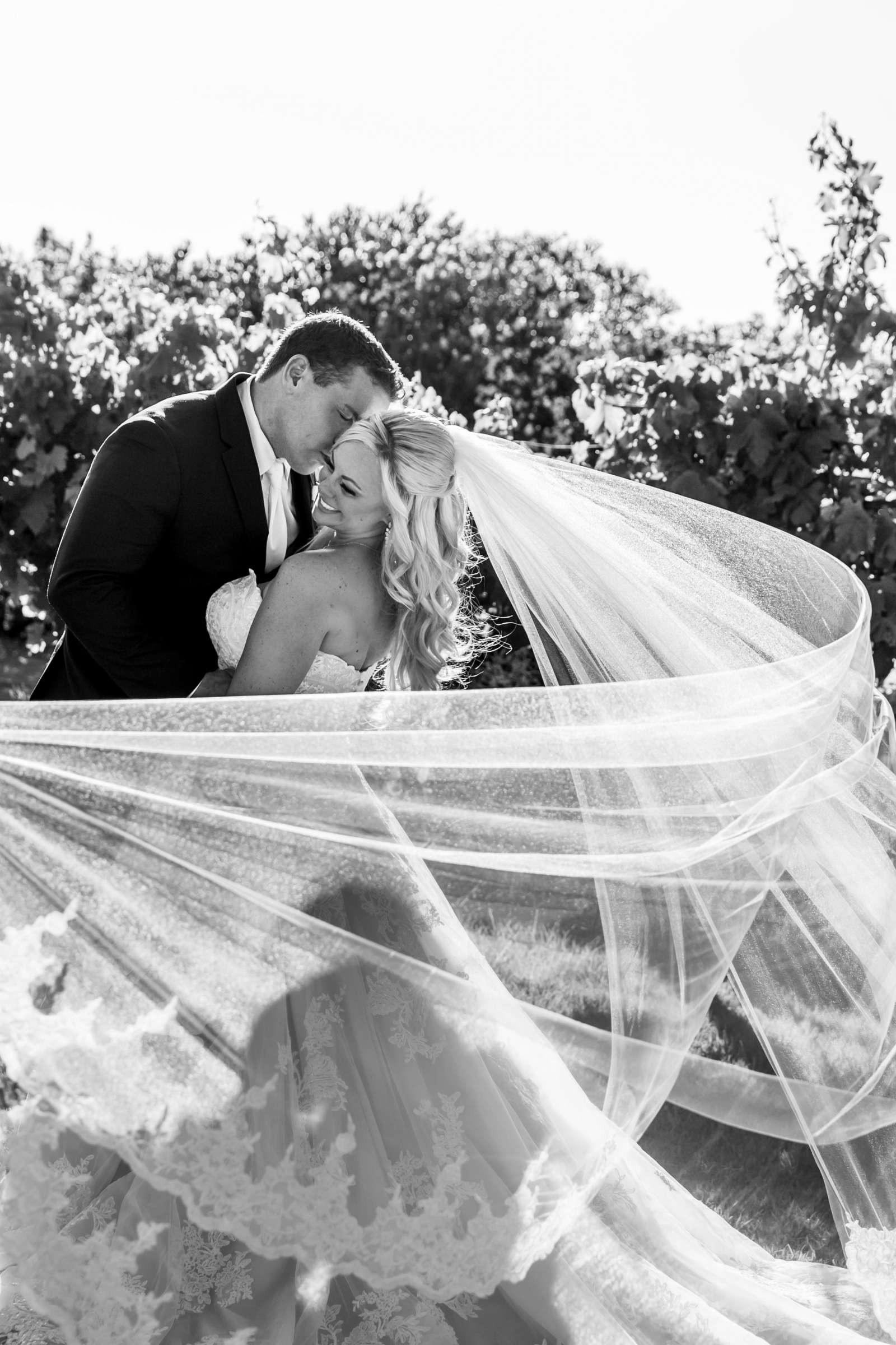 Mount Palomar Winery Wedding, Meg and Eric Wedding Photo #477525 by True Photography