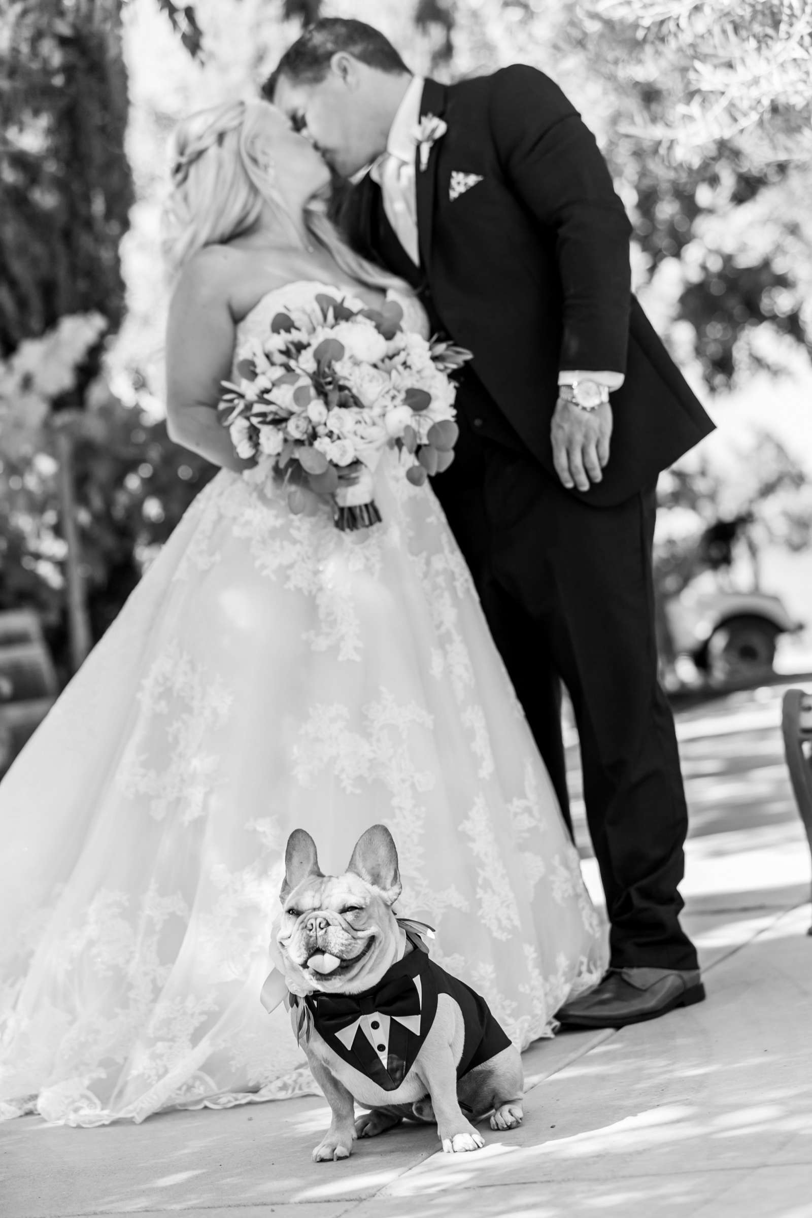 Mount Palomar Winery Wedding, Meg and Eric Wedding Photo #477565 by True Photography