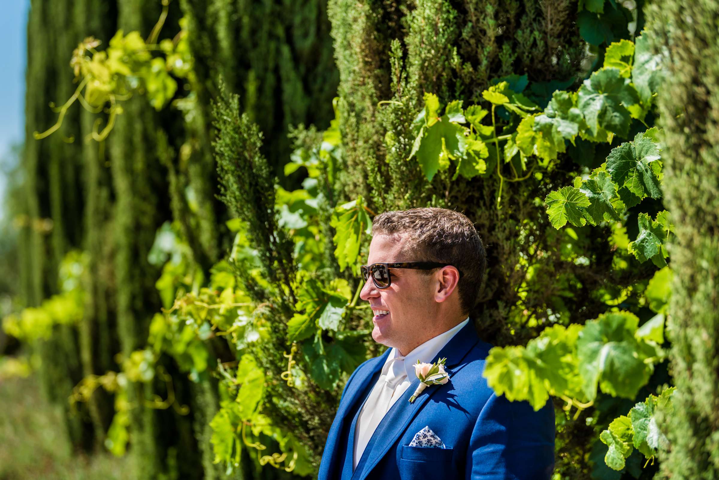 Mount Palomar Winery Wedding, Meg and Eric Wedding Photo #477568 by True Photography