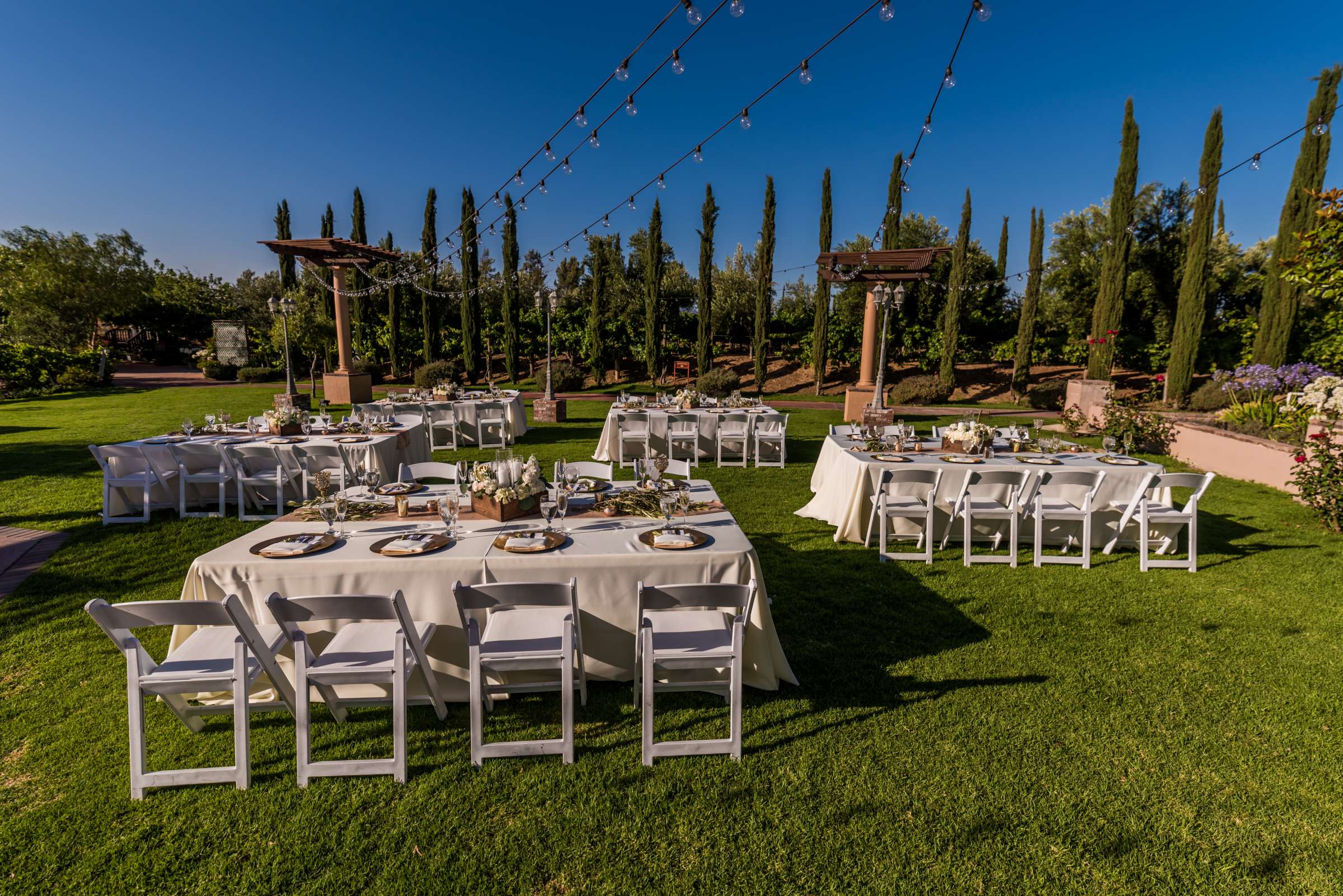 Mount Palomar Winery Wedding, Meg and Eric Wedding Photo #477630 by True Photography