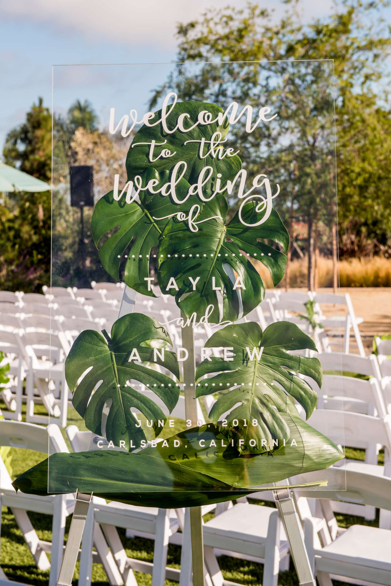 Sheraton Carlsbad Resort and Spa Wedding coordinated by Sweet Blossom Weddings, Tayla and Andrew Wedding Photo #479939 by True Photography