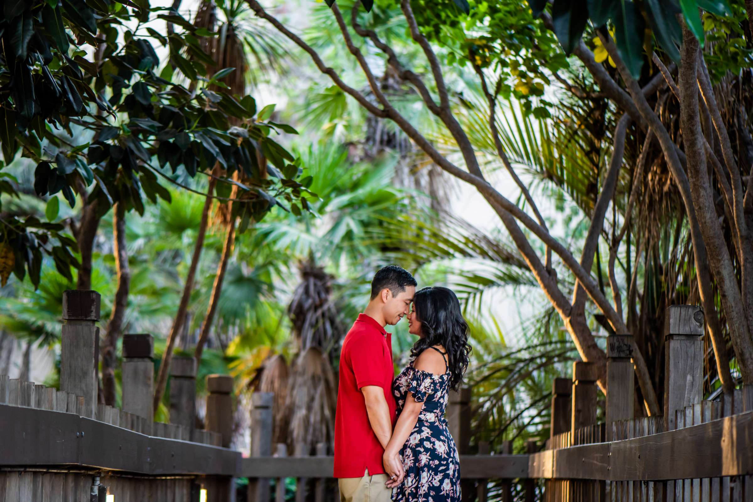 Engagement, Paula and Jimmy Engagement Photo #6 by True Photography