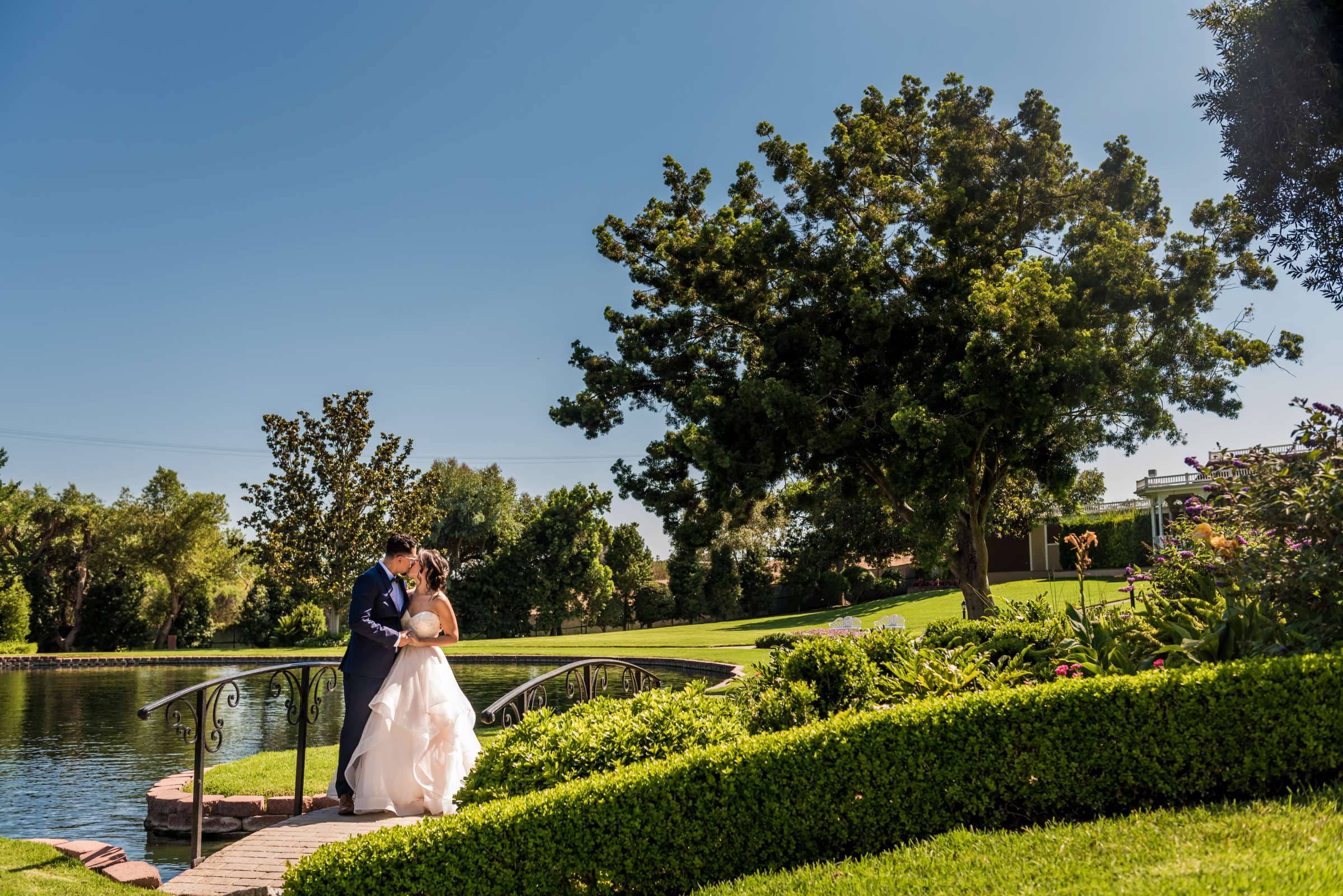 Grand Tradition Estate Wedding, Ruany and Carlos Wedding Photo #486218 by True Photography