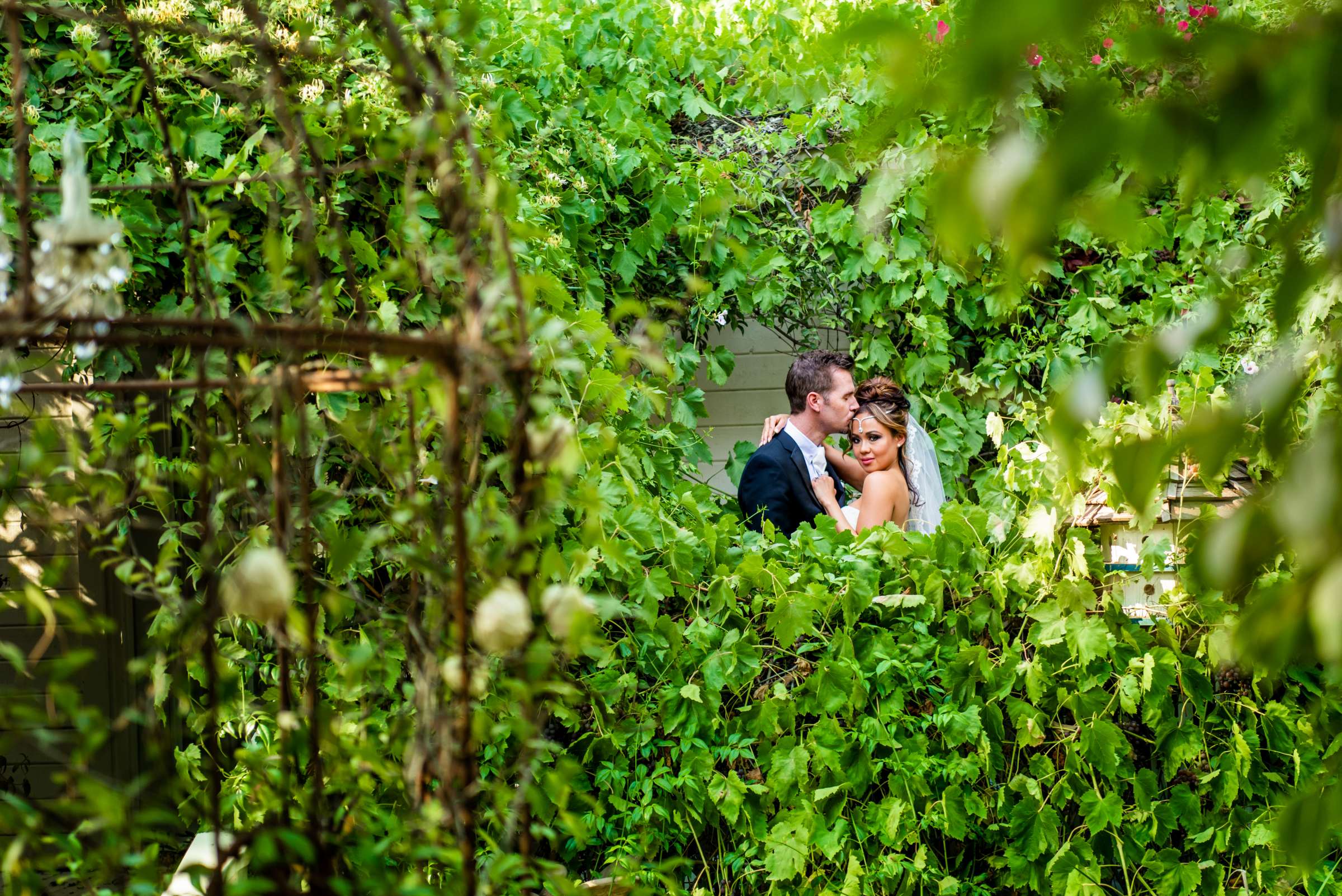 Twin Oaks House & Gardens Wedding Estate Stylized, Emilrica and Matthew Stylized Photo #28 by True Photography