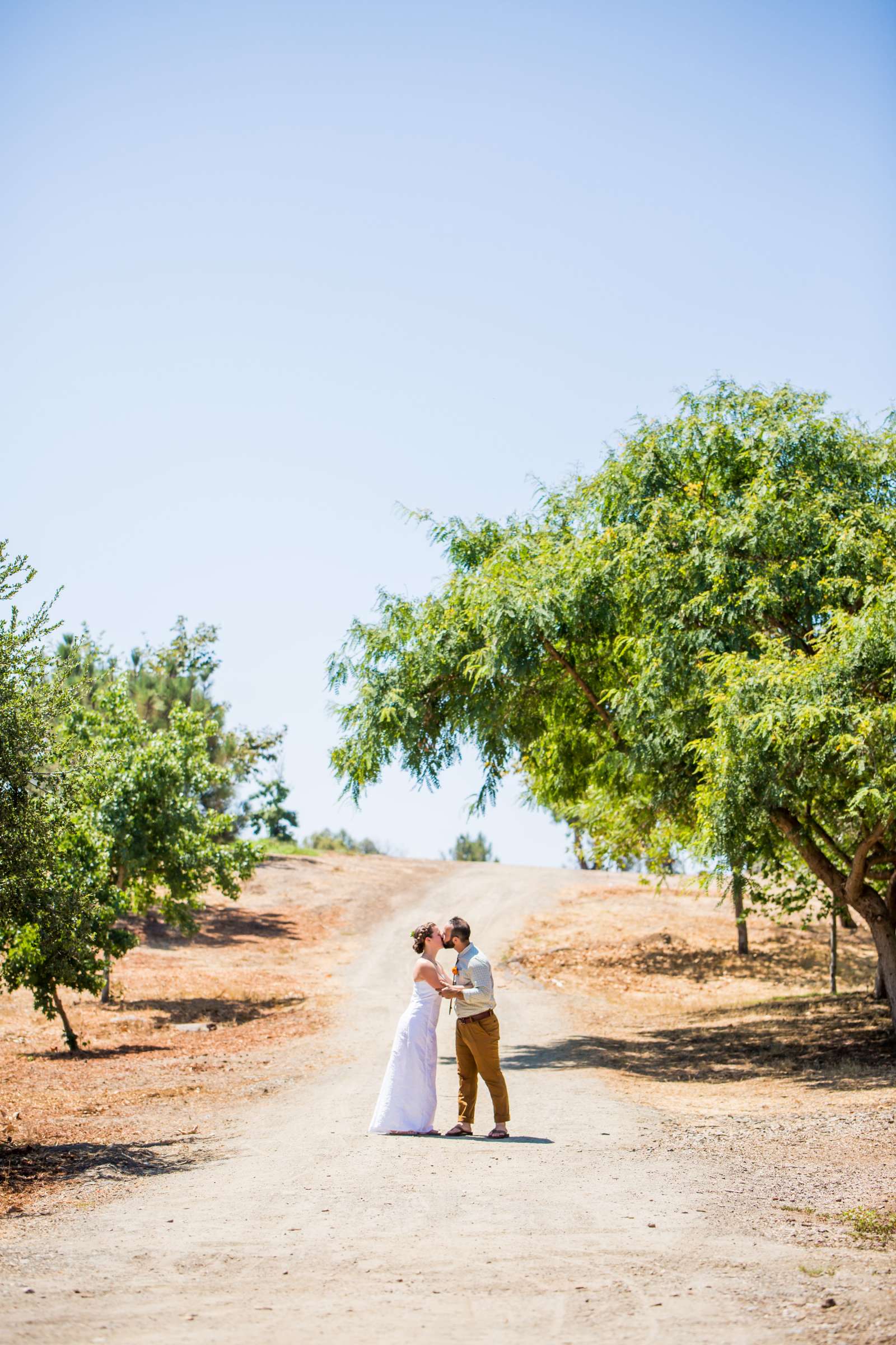 Wedding coordinated by Elements of Style, Katie and David Wedding Photo #489333 by True Photography