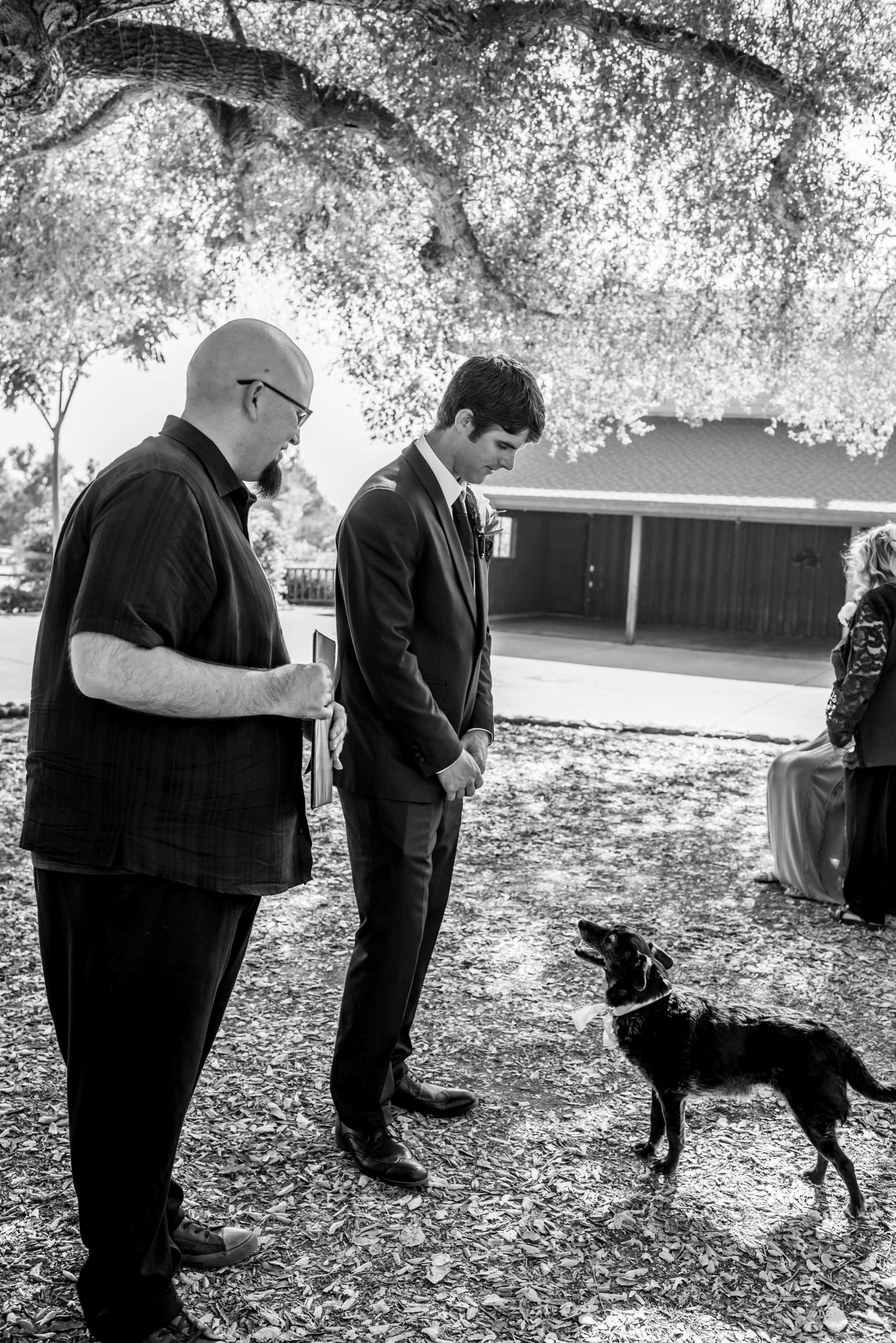 Serenity Oaks Ranch Wedding coordinated by Serenity Oaks Ranch, Analise and Wyatt Wedding Photo #490884 by True Photography