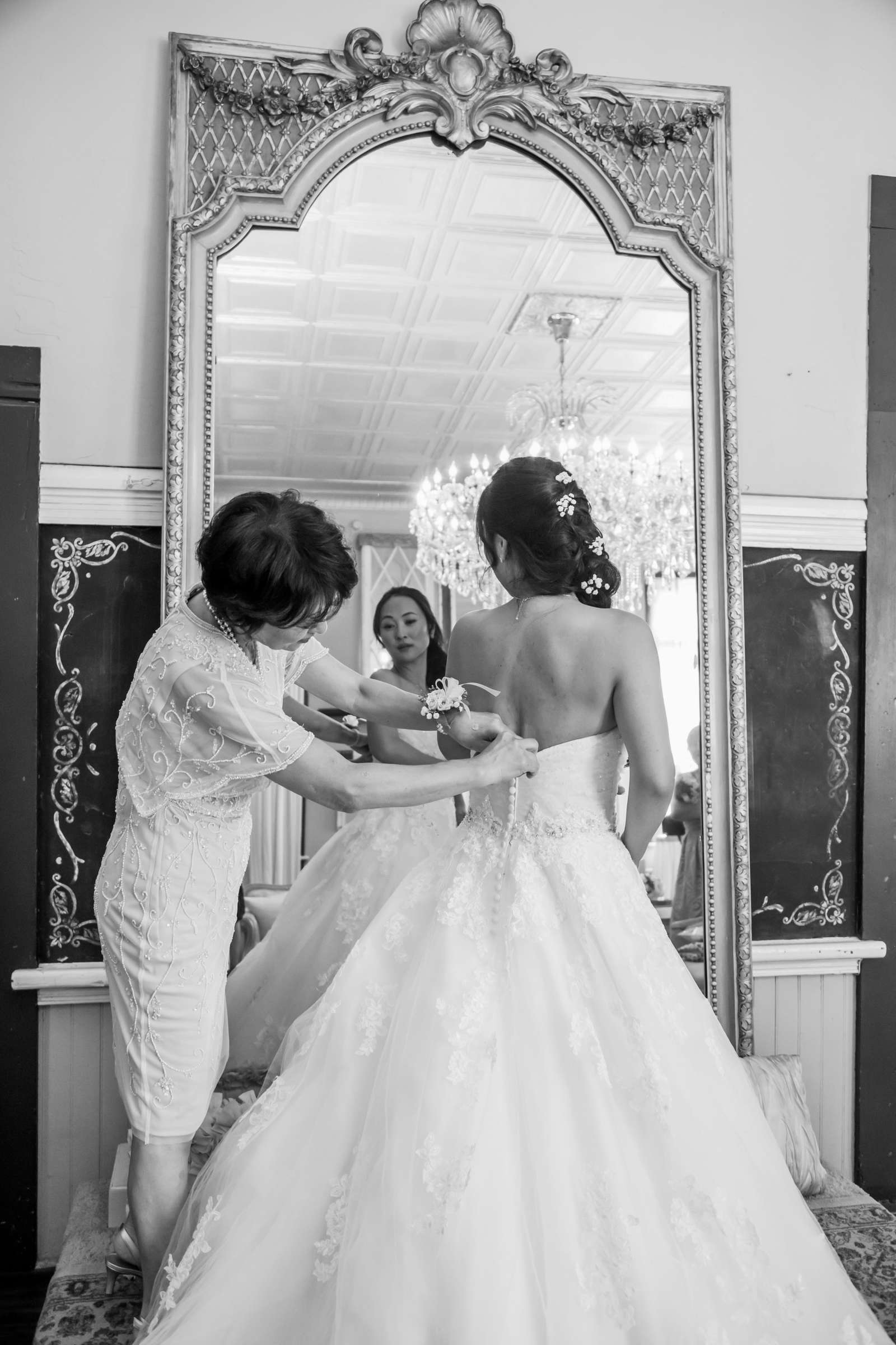 Twin Oaks House & Gardens Wedding Estate Wedding, Ava and Brian Wedding Photo #40 by True Photography