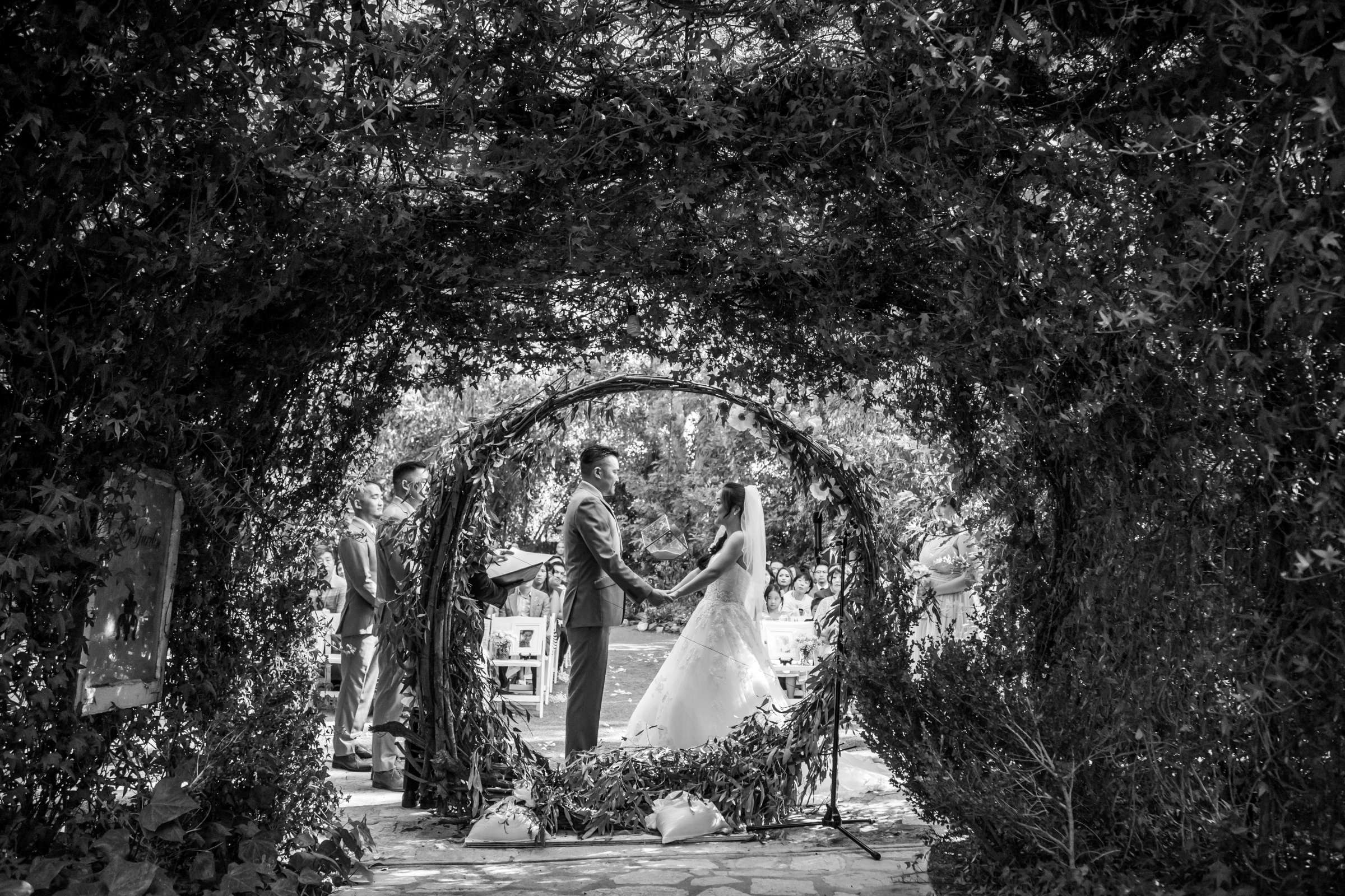 Twin Oaks House & Gardens Wedding Estate Wedding, Ava and Brian Wedding Photo #68 by True Photography