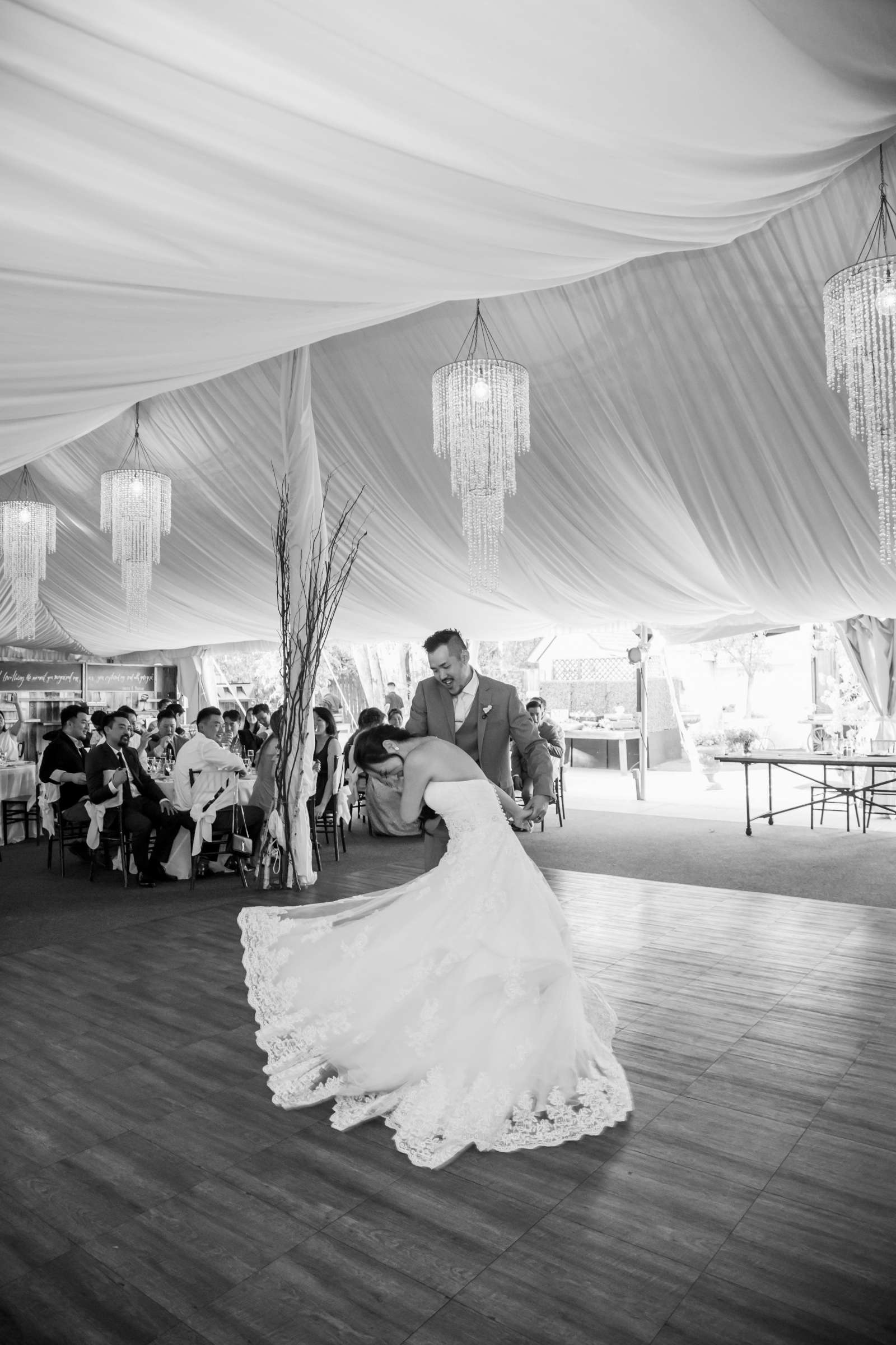 Twin Oaks House & Gardens Wedding Estate Wedding, Ava and Brian Wedding Photo #105 by True Photography