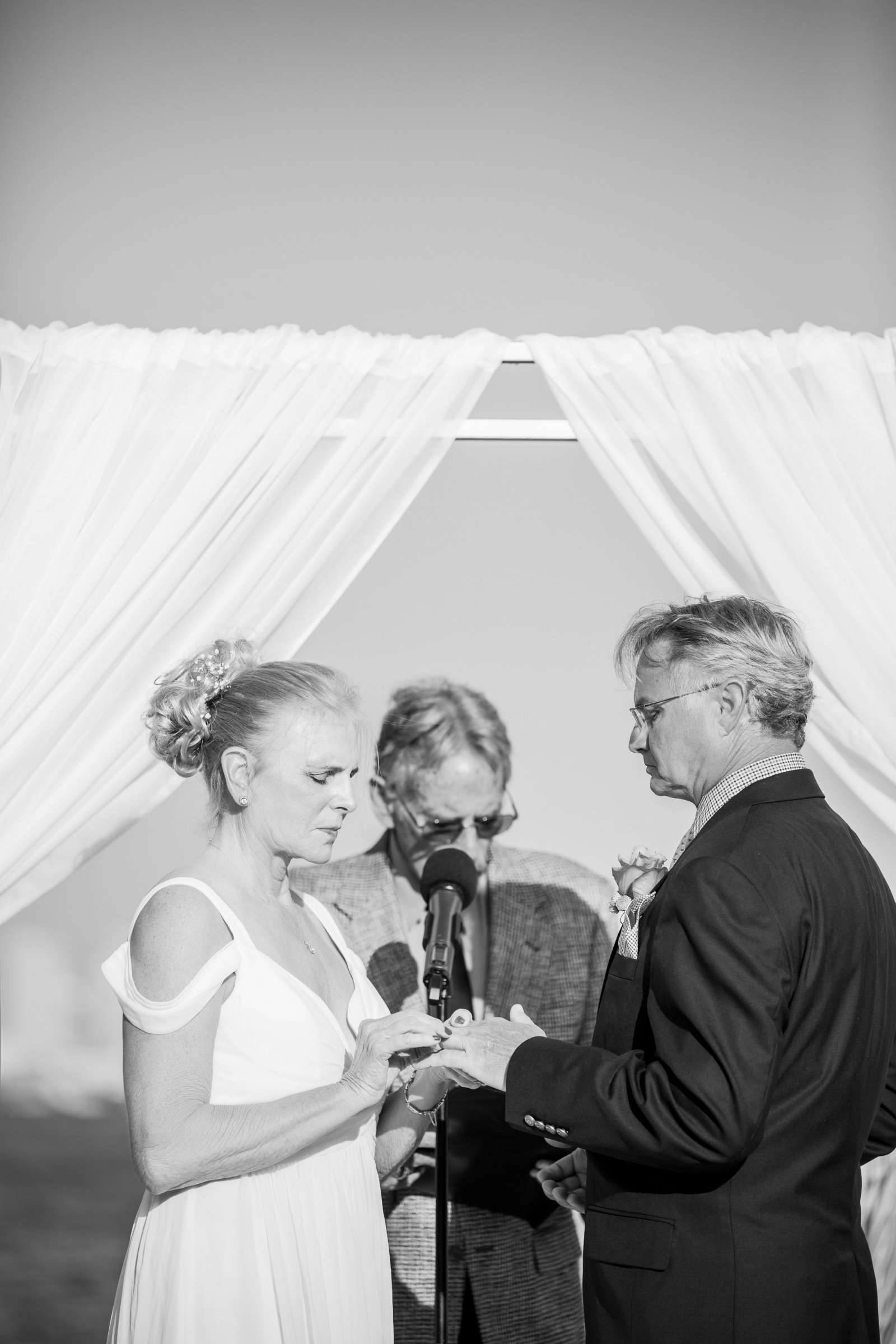 Wedding, Marcia and Richard Wedding Photo #43 by True Photography