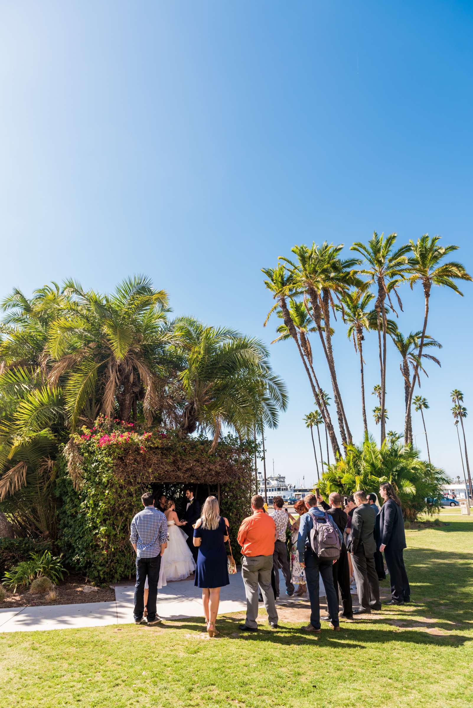 San Diego Courthouse Wedding, Samantha and Nile Wedding Photo #39 by True Photography