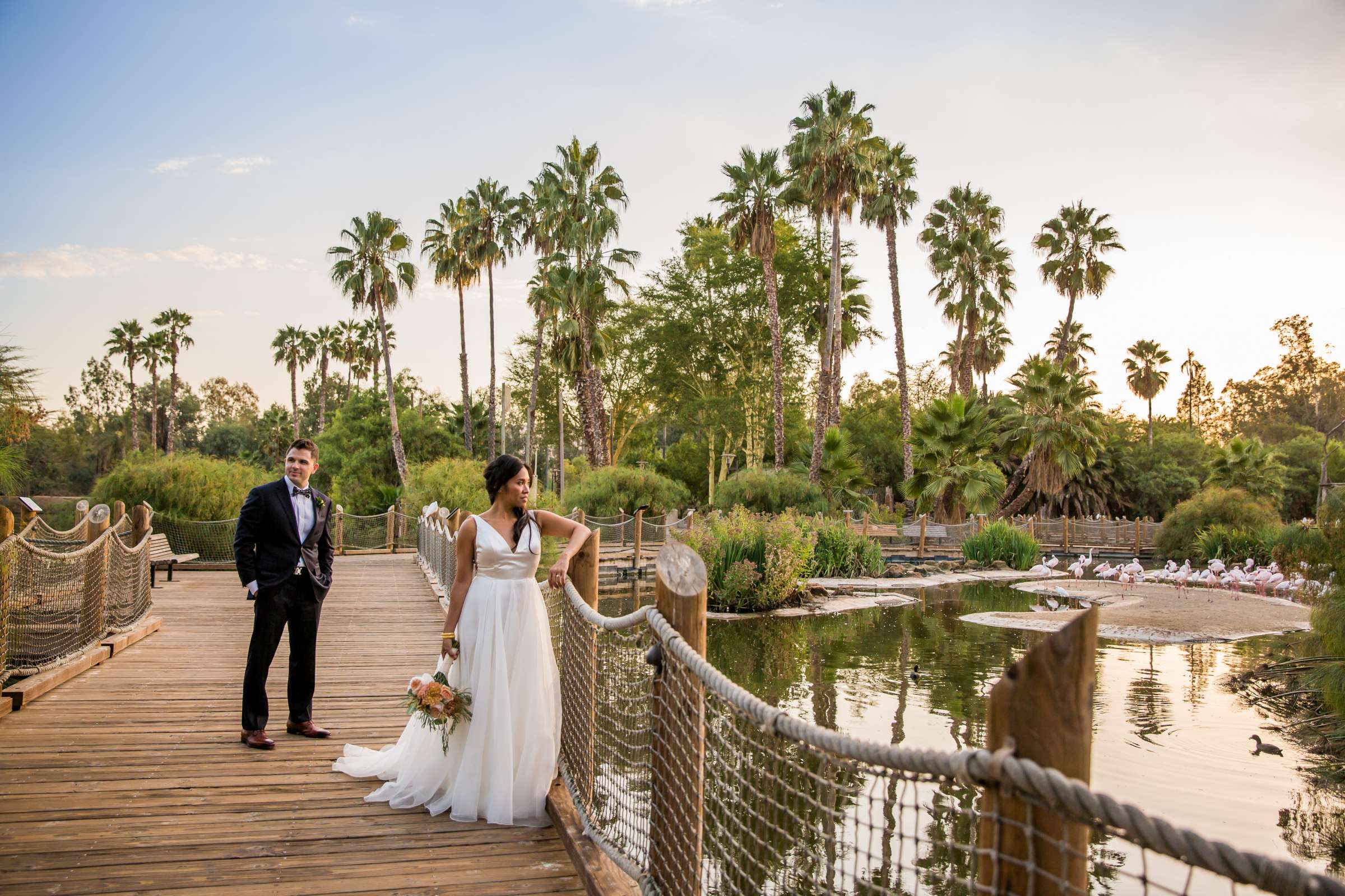 Safari Park Wedding, Evangelina and Ross Wedding Photo #2 by True Photography