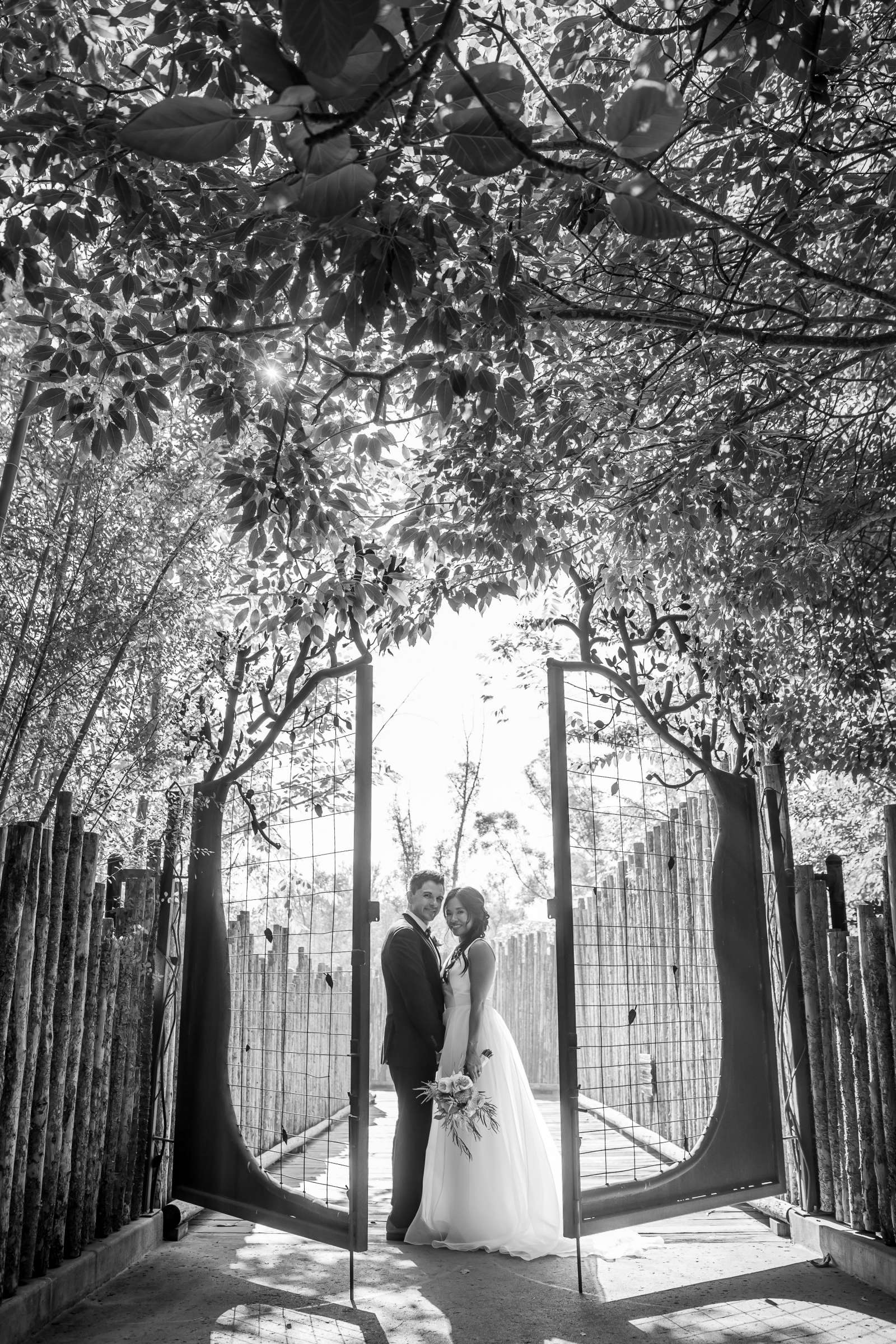 Safari Park Wedding, Evangelina and Ross Wedding Photo #4 by True Photography