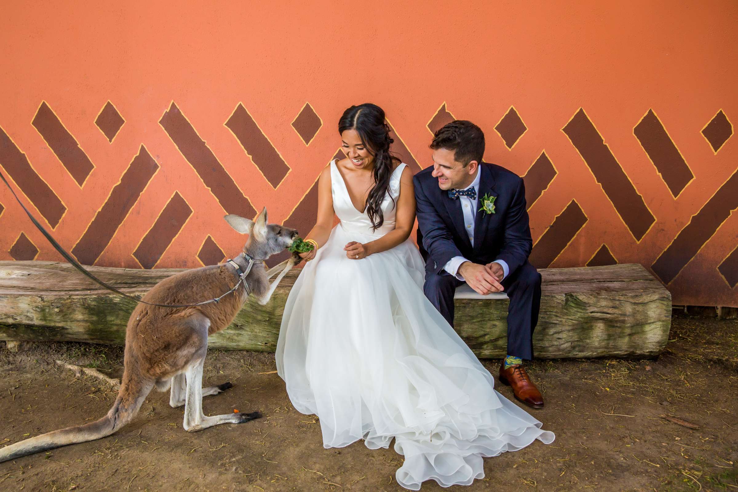 Safari Park Wedding, Evangelina and Ross Wedding Photo #8 by True Photography