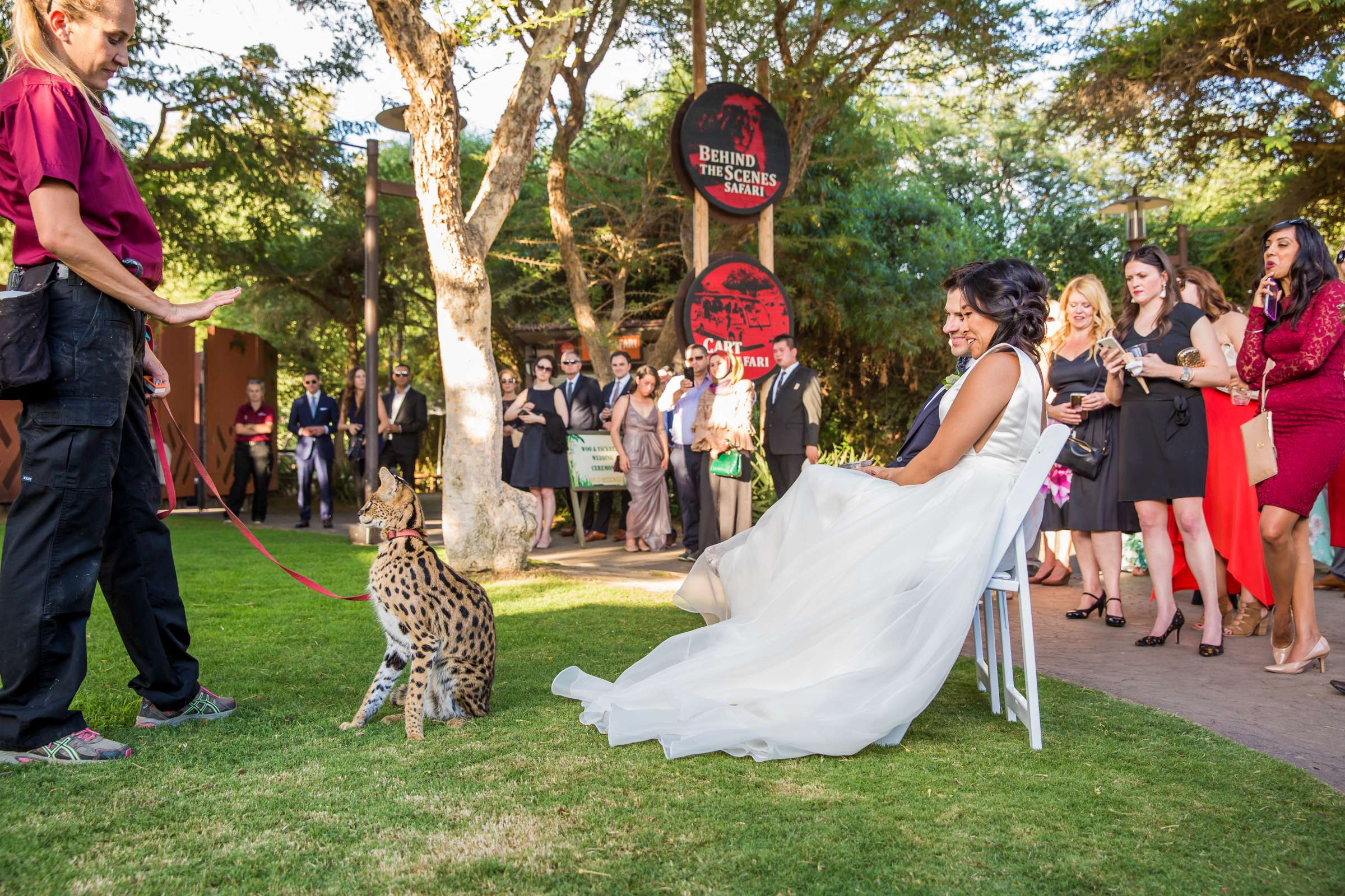 Safari Park Wedding, Evangelina and Ross Wedding Photo #32 by True Photography
