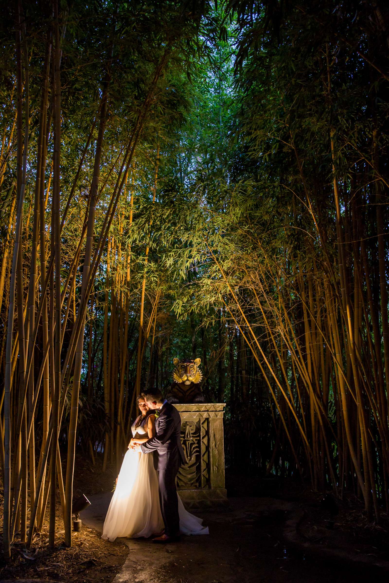 Safari Park Wedding, Evangelina and Ross Wedding Photo #43 by True Photography