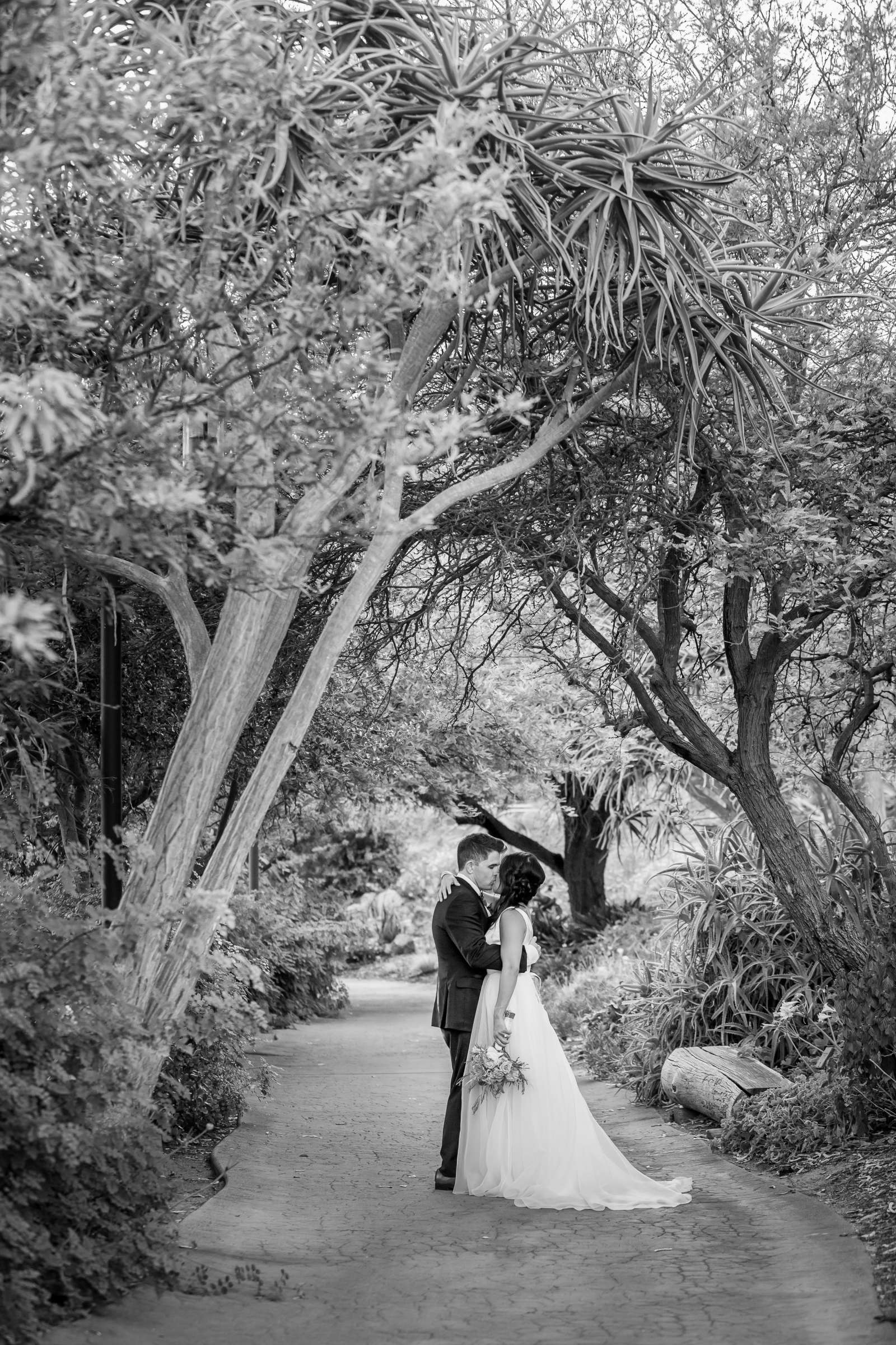 Safari Park Wedding, Evangelina and Ross Wedding Photo #104 by True Photography