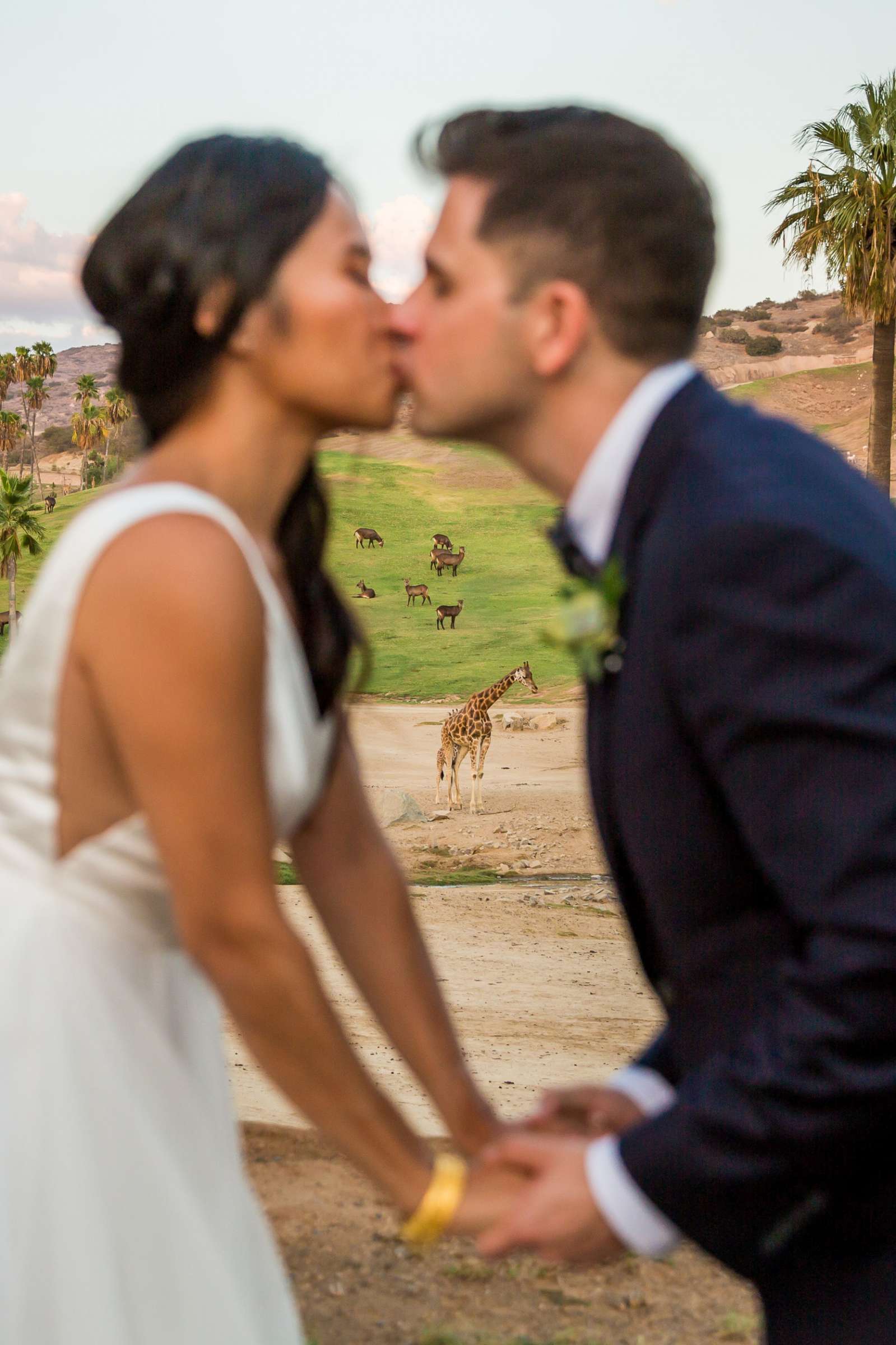 Safari Park Wedding, Evangelina and Ross Wedding Photo #111 by True Photography
