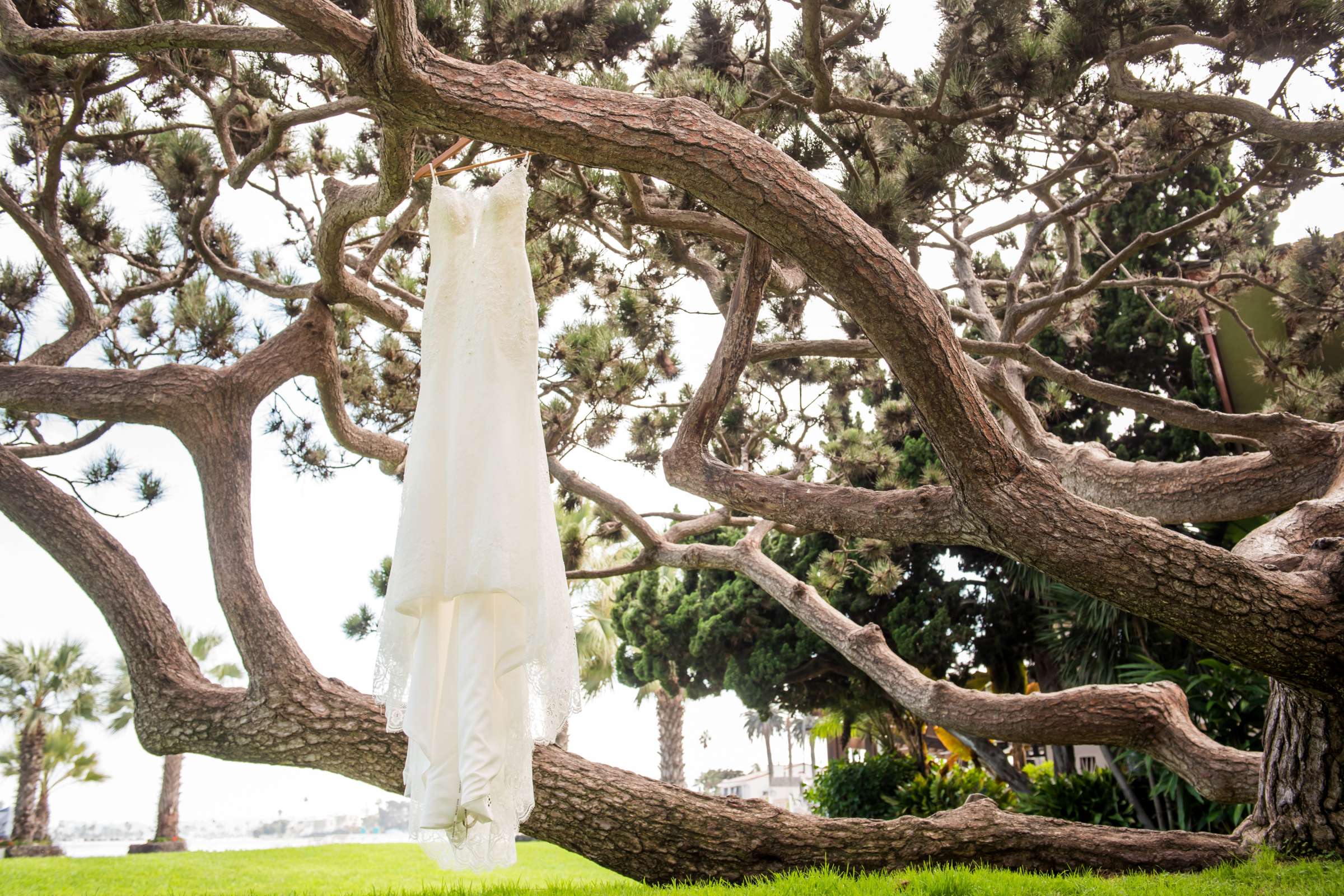 Catamaran Resort Wedding coordinated by Simply Gorgeous Events, Kim and Kyle Wedding Photo #503593 by True Photography