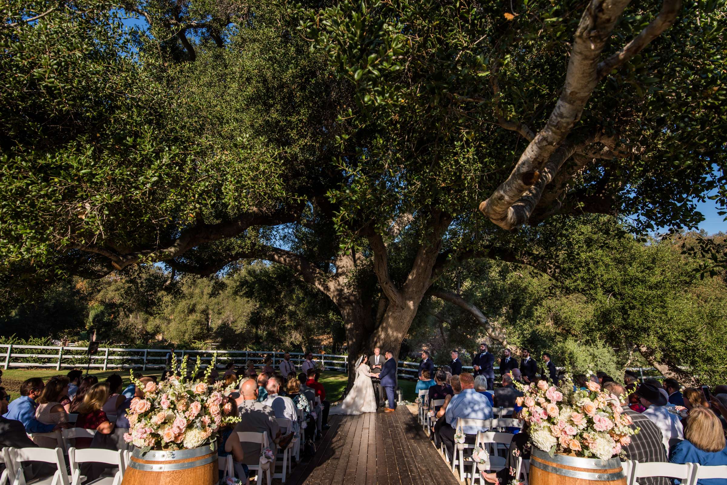 Circle Oak Ranch Weddings Wedding, Kelly and Will Wedding Photo #64 by True Photography