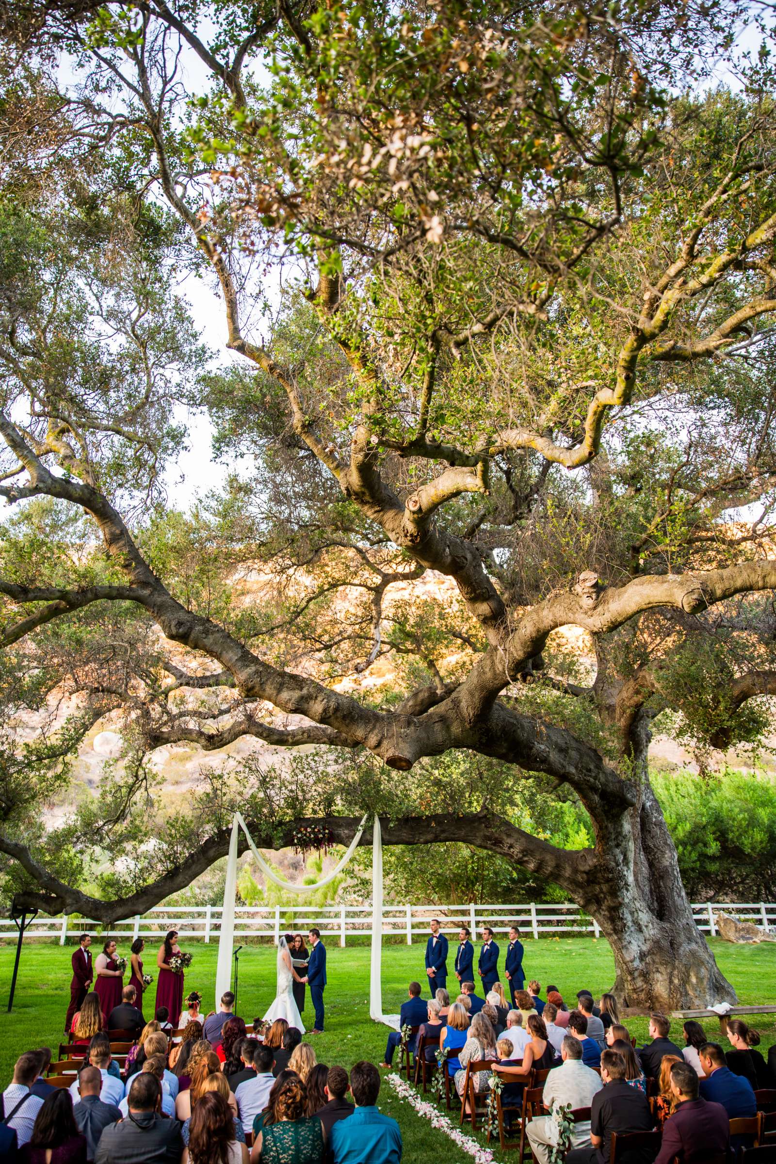 Eden Oaks Ranch Wedding coordinated by BASH WEDDINGS/EVENTS, Sarah and Zach Wedding Photo #15 by True Photography