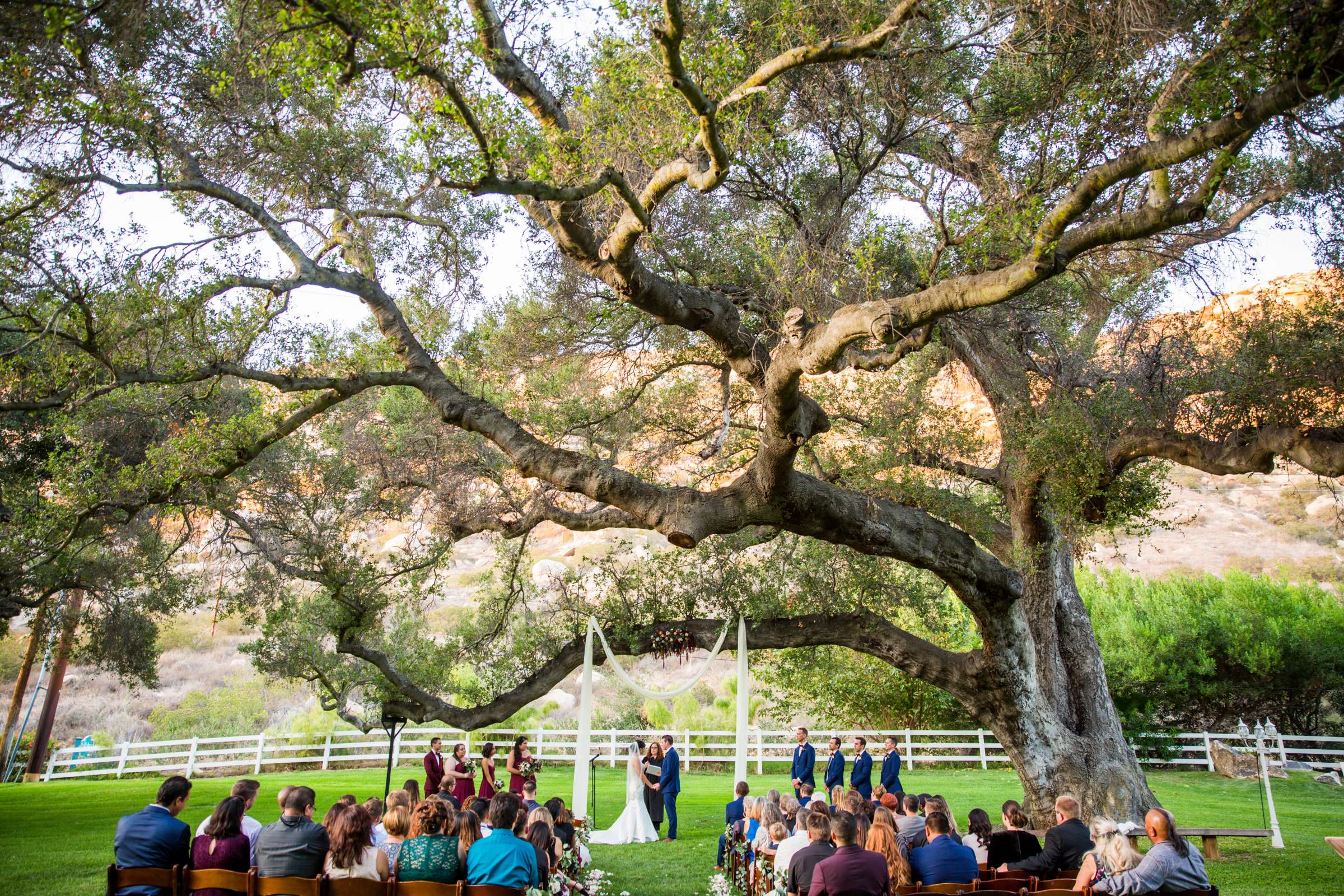 Eden Oaks Ranch Wedding coordinated by BASH WEDDINGS/EVENTS, Sarah and Zach Wedding Photo #107 by True Photography