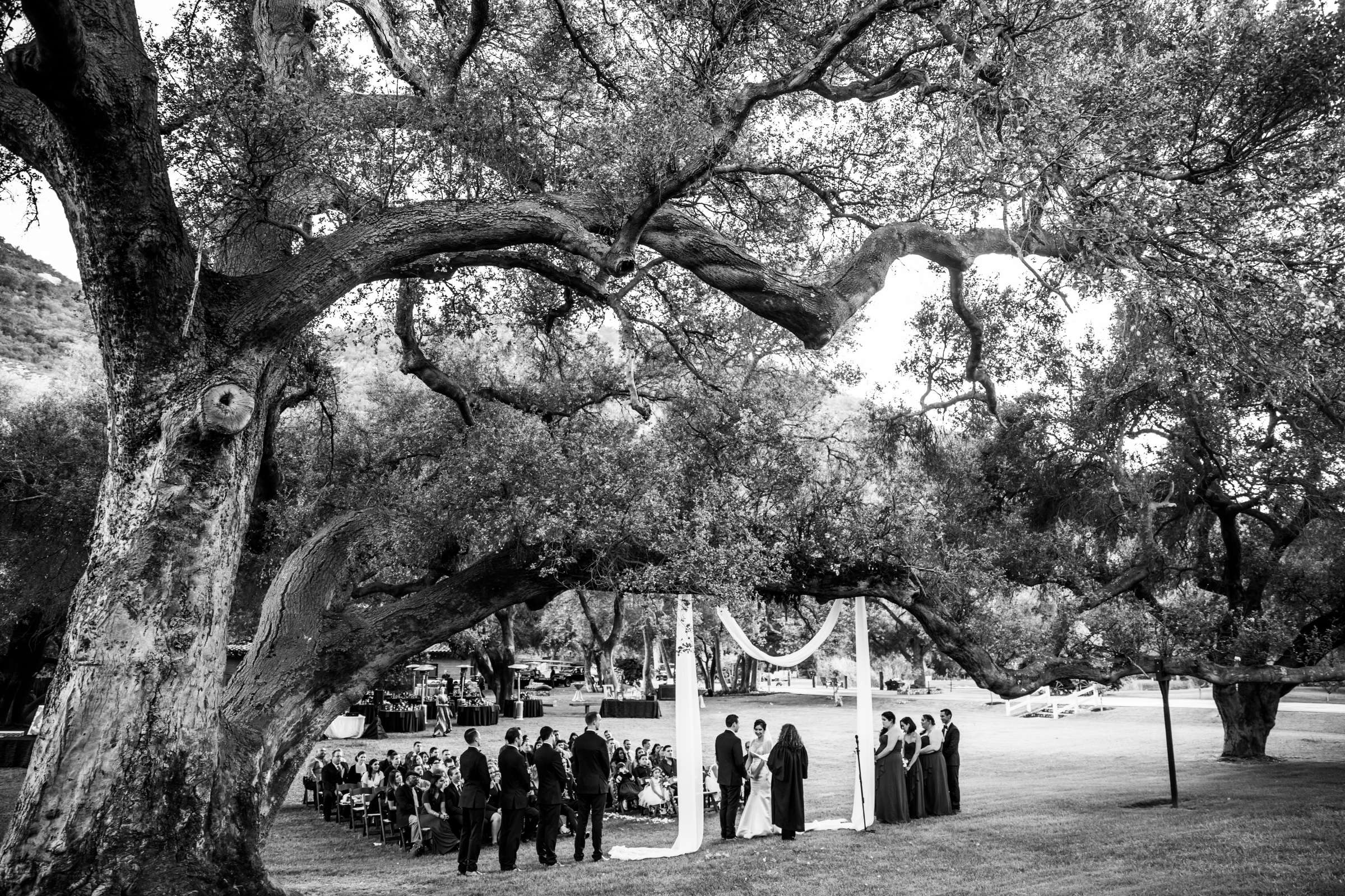 Eden Oaks Ranch Wedding coordinated by BASH WEDDINGS/EVENTS, Sarah and Zach Wedding Photo #109 by True Photography