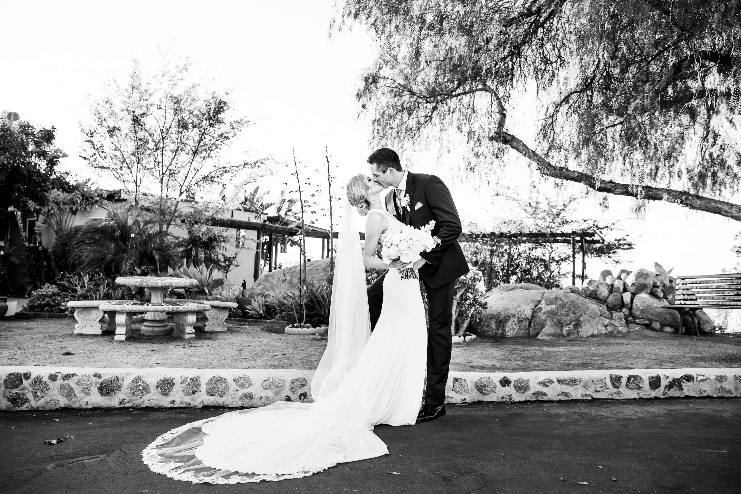 Cordiano Winery Wedding coordinated by Sisti & Co, Sara and Kyle Wedding Photo #15 by True Photography