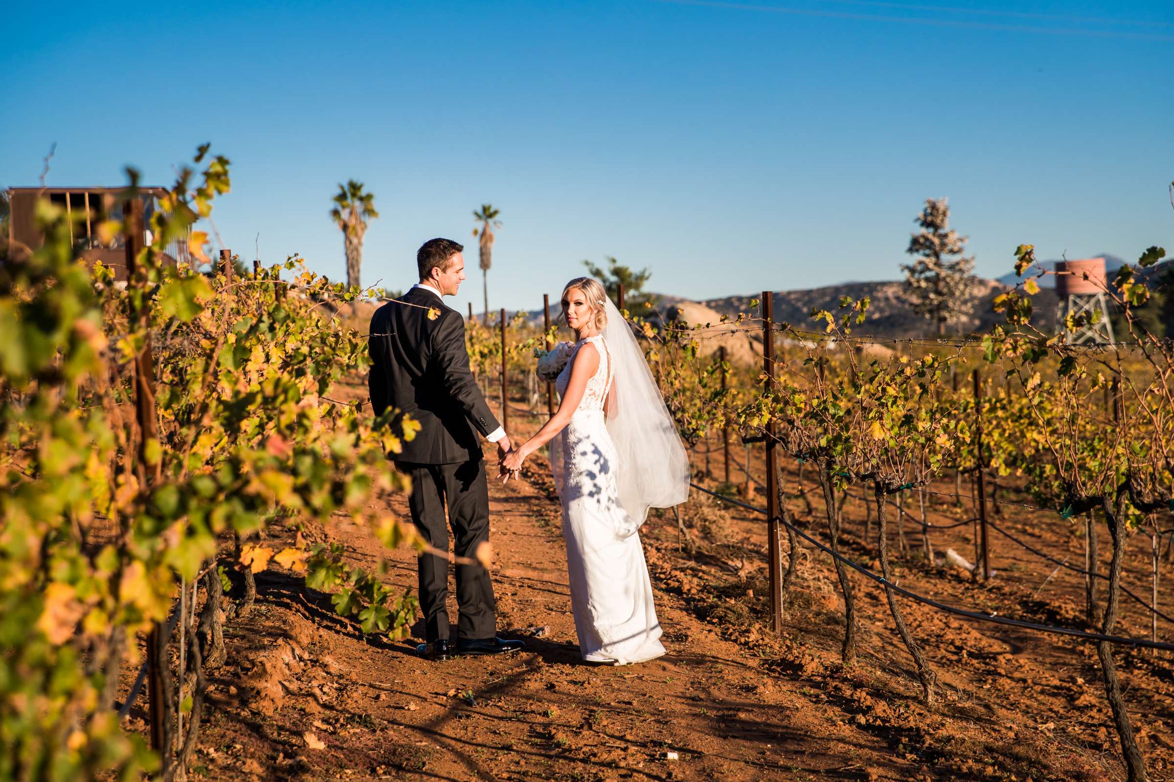 Cordiano Winery Wedding coordinated by Sisti & Co, Sara and Kyle Wedding Photo #17 by True Photography