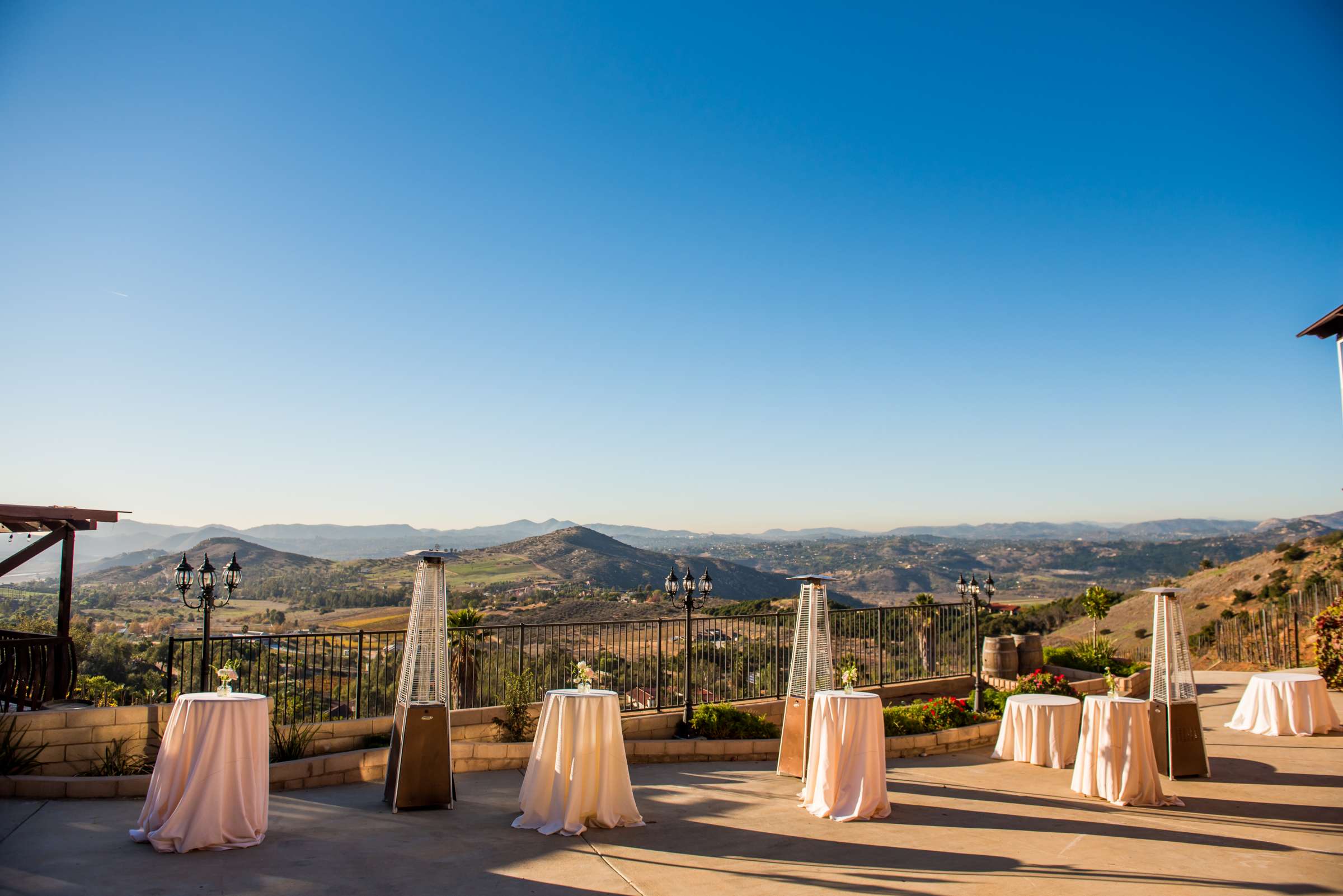 Cordiano Winery Wedding coordinated by Sisti & Co, Sara and Kyle Wedding Photo #134 by True Photography