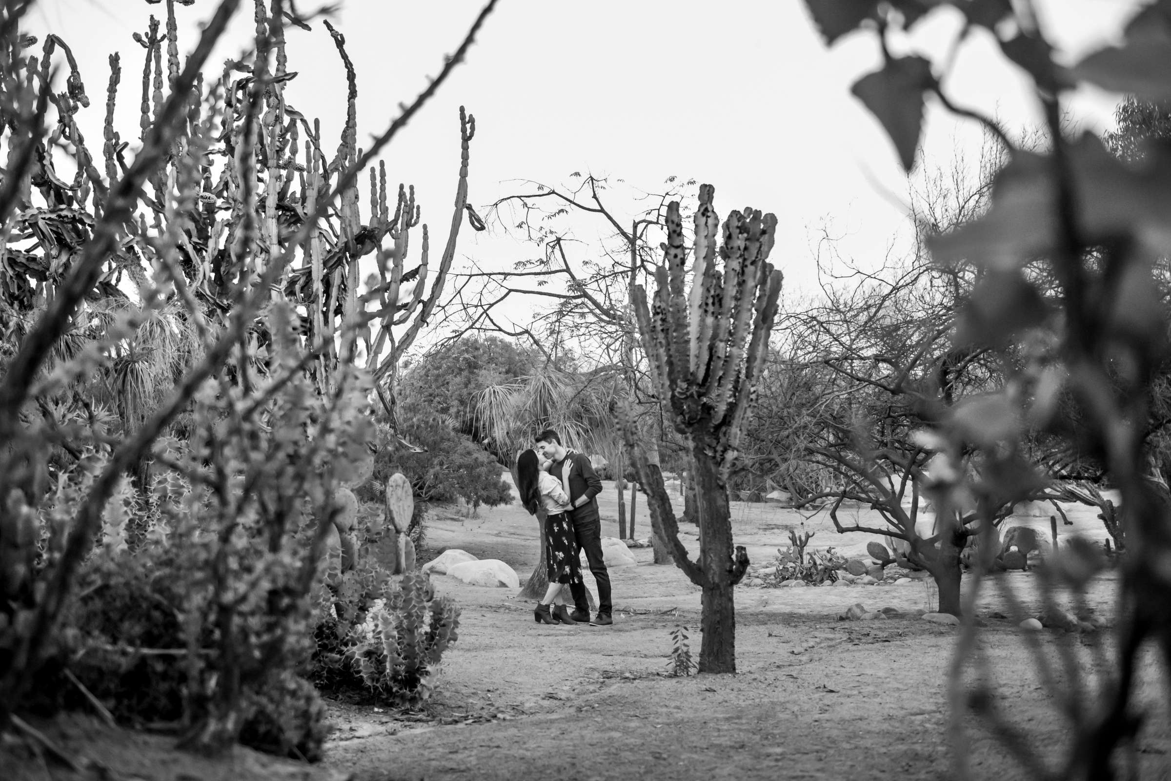Engagement, Jenine and Michael Engagement Photo #518046 by True Photography
