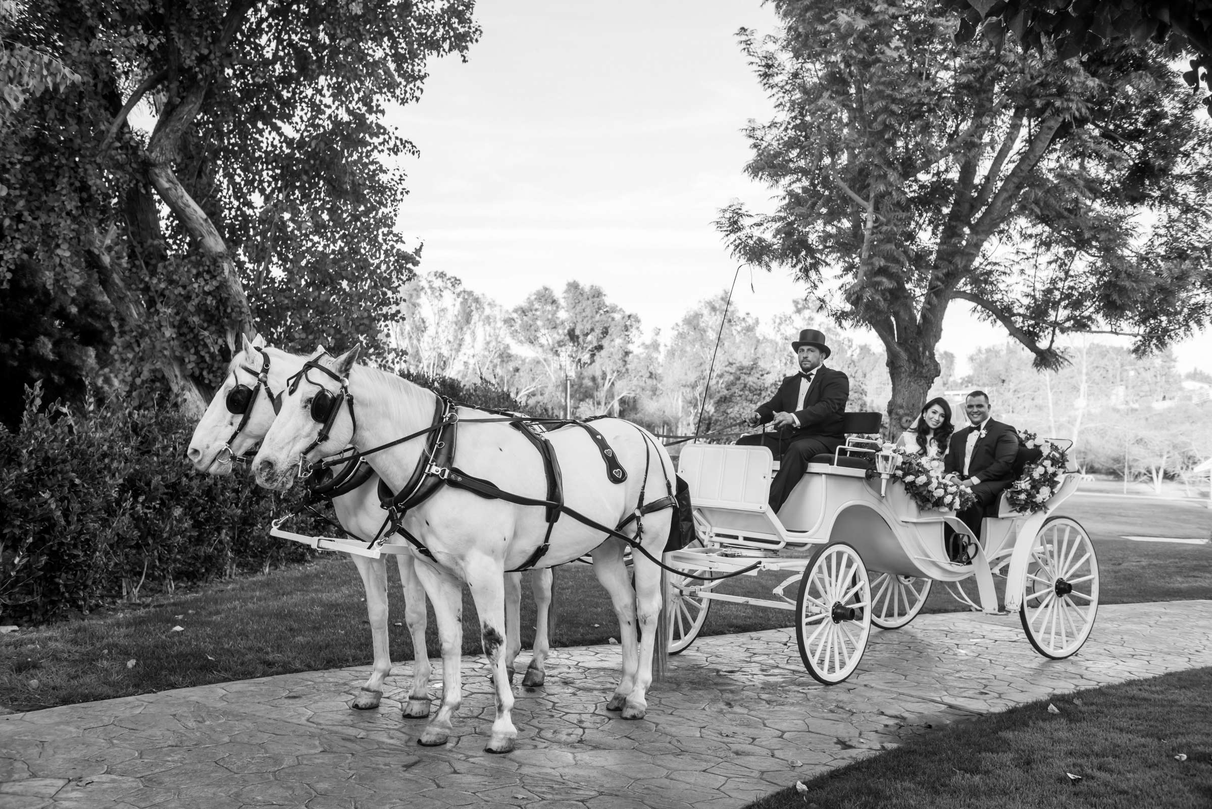 Grand Tradition Estate Wedding, Julie and Jeremy Wedding Photo #105 by True Photography