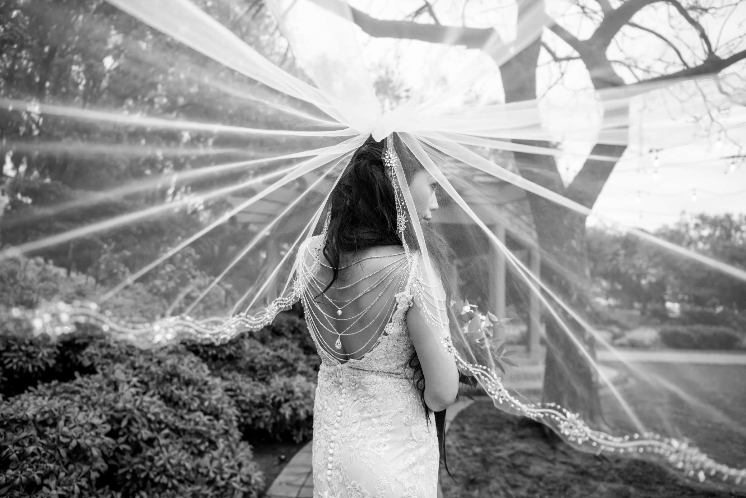 The Secret Garden at Rancho Santa Fe Wedding, Jennifer and Michael Wedding Photo #81 by True Photography