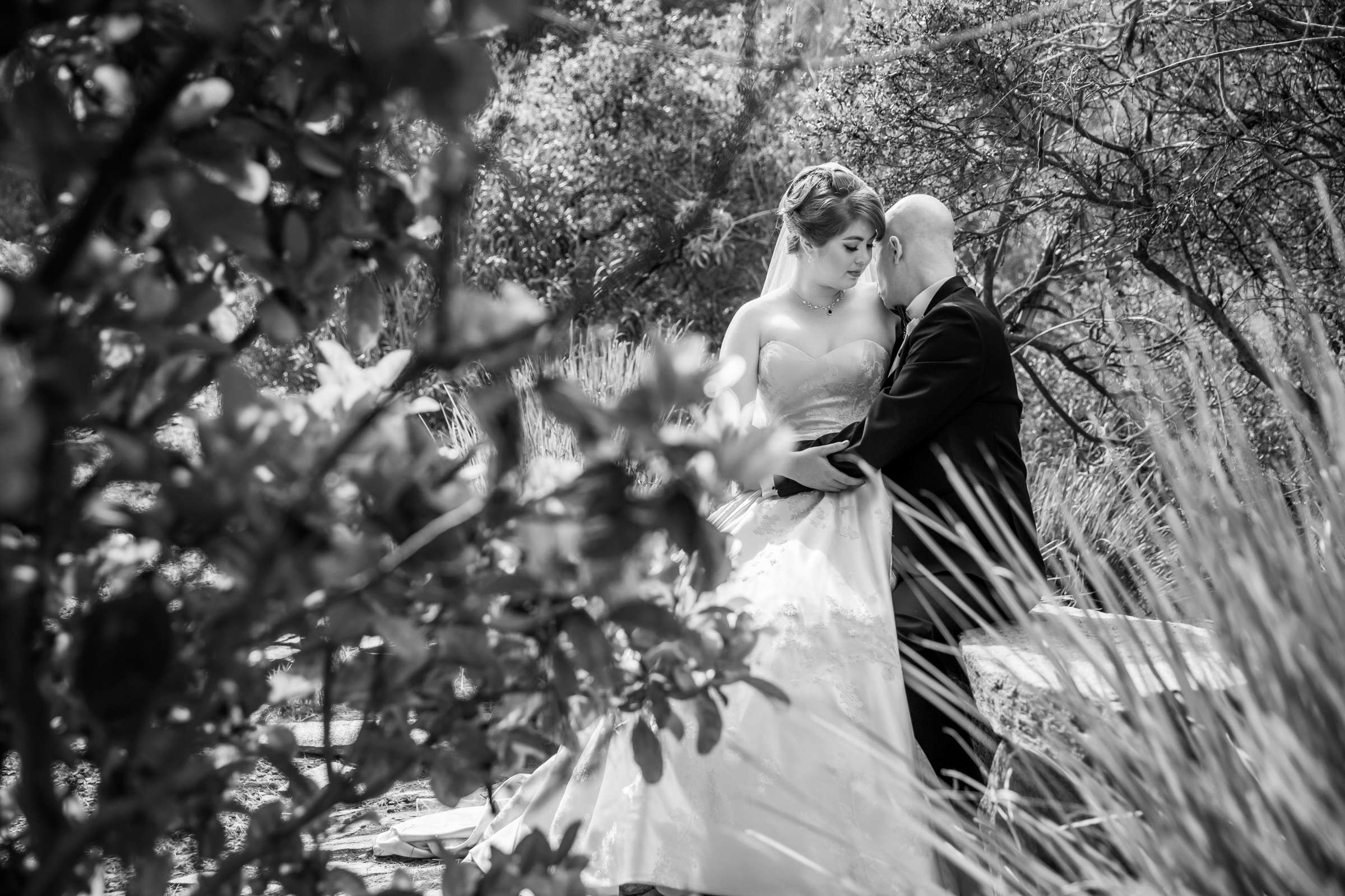 Pala Mesa Resort Wedding, Alison and Eric Wedding Photo #84 by True Photography