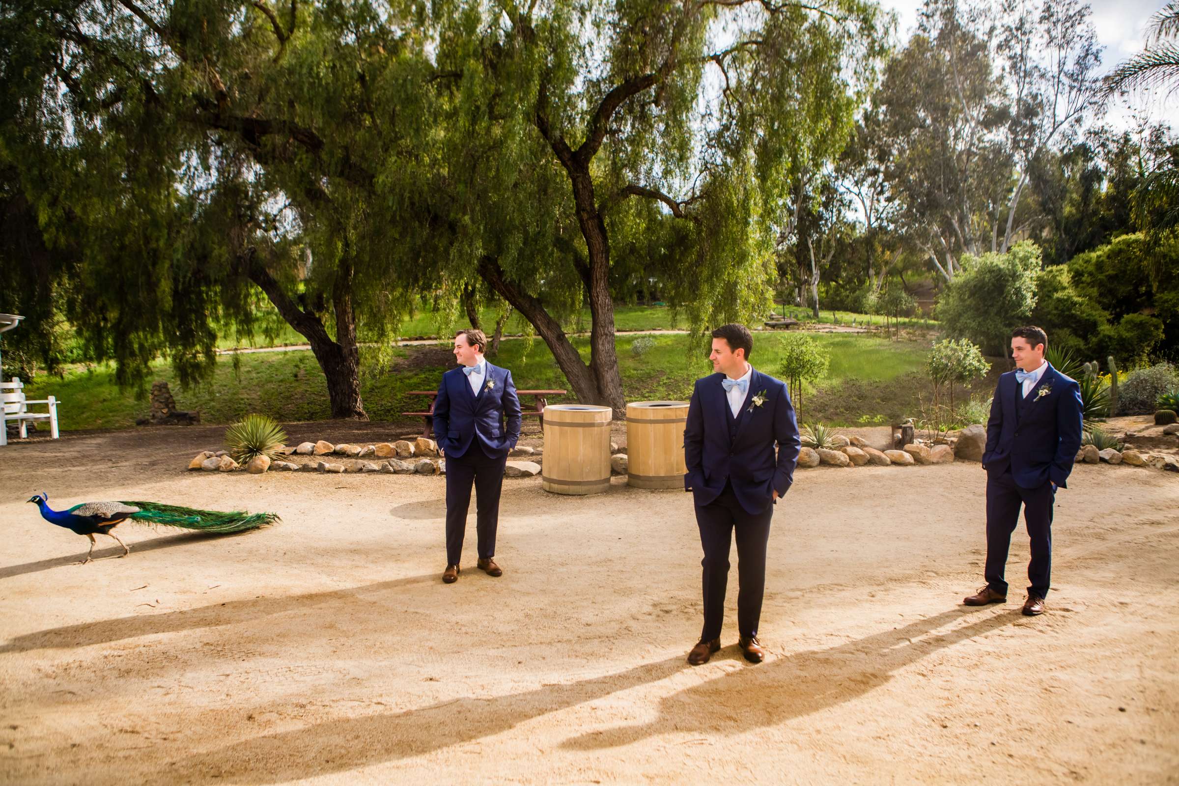 Leo Carrillo Ranch Wedding, Katie and Billy Wedding Photo #37 by True Photography