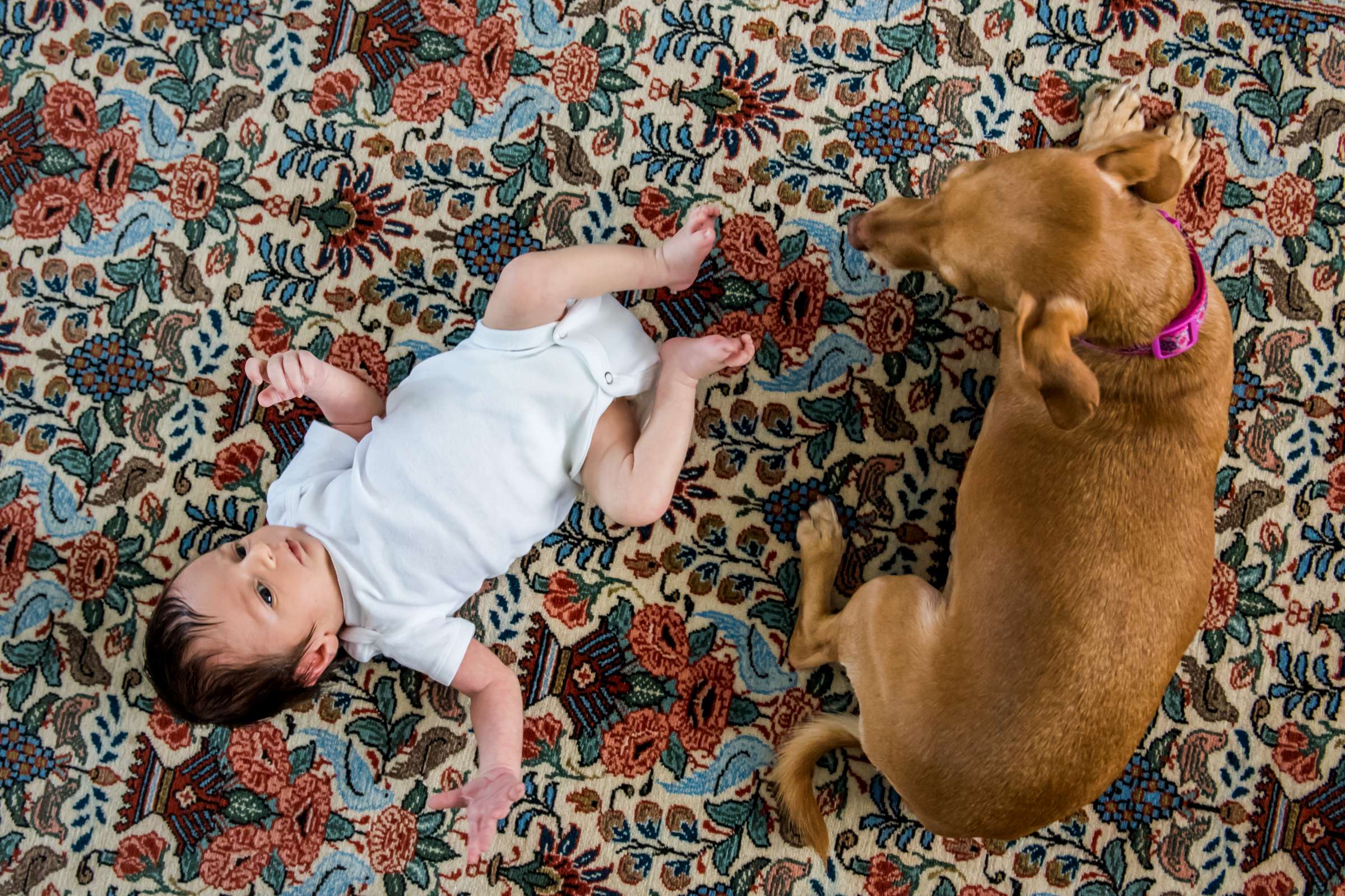 Newborn Photo Session, Viviane and Joshua Newborn Photo #22 by True Photography