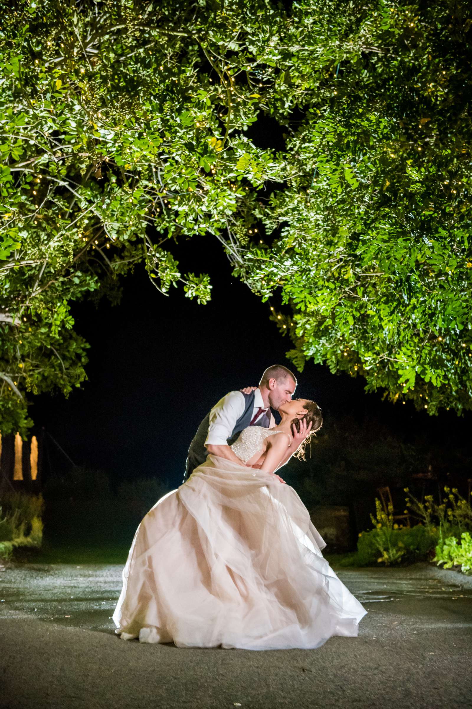 Ethereal Gardens Wedding, Lyndsey and Matthew Wedding Photo #22 by True Photography