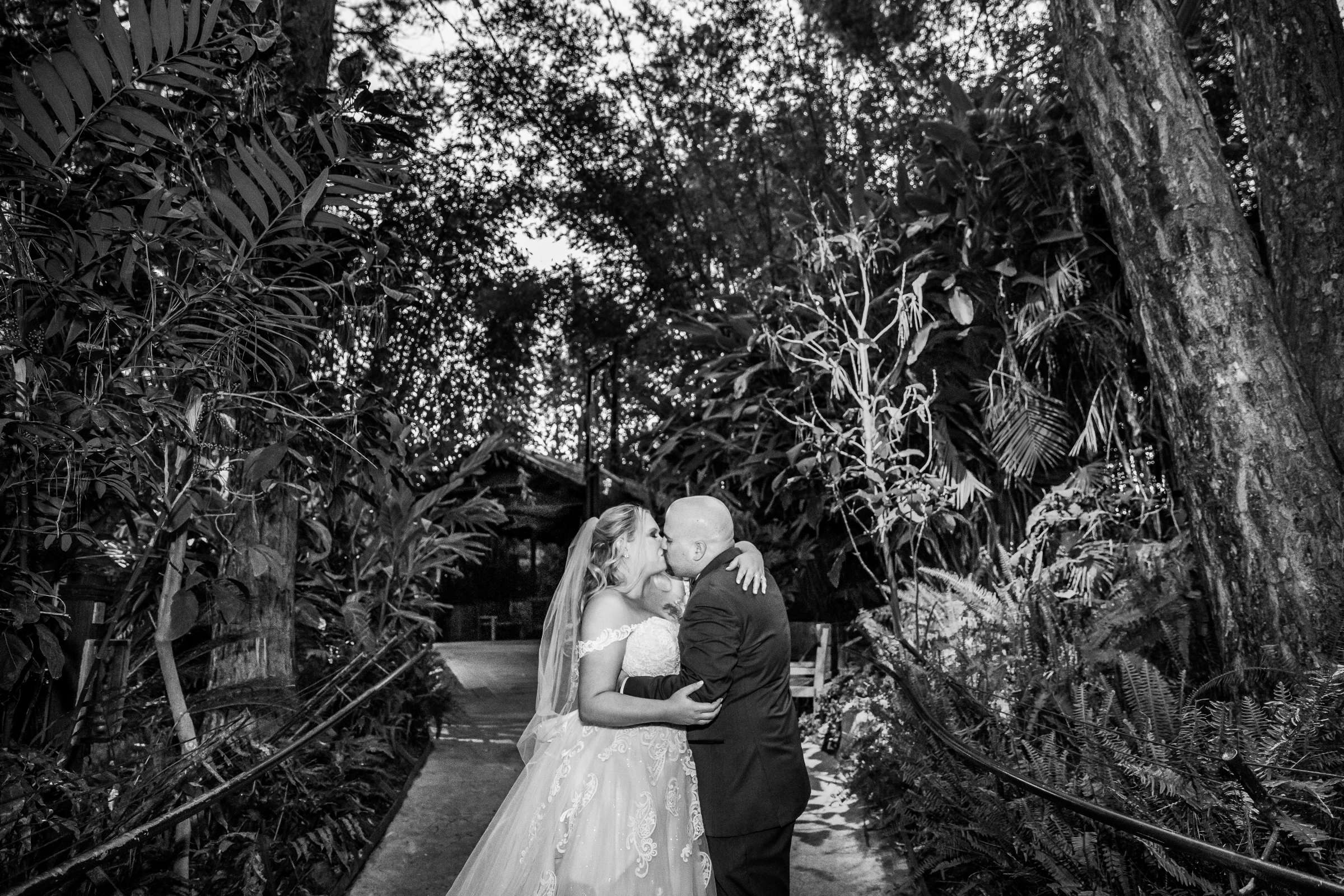 Safari Park Wedding coordinated by Always Flawless Productions, Stefanie and Travis Wedding Photo #3 by True Photography