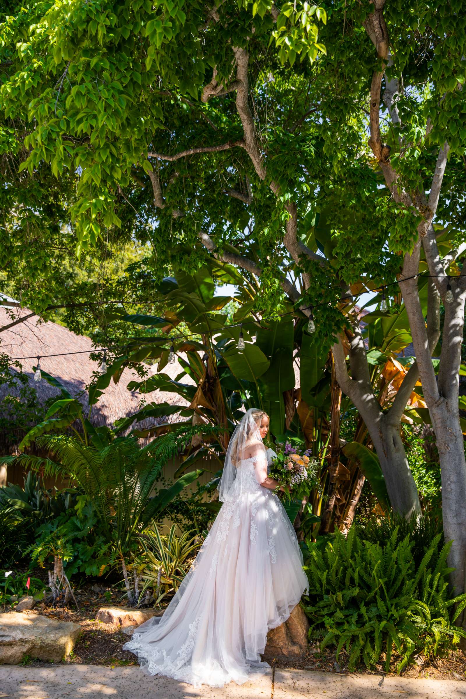 Safari Park Wedding coordinated by Always Flawless Productions, Stefanie and Travis Wedding Photo #39 by True Photography