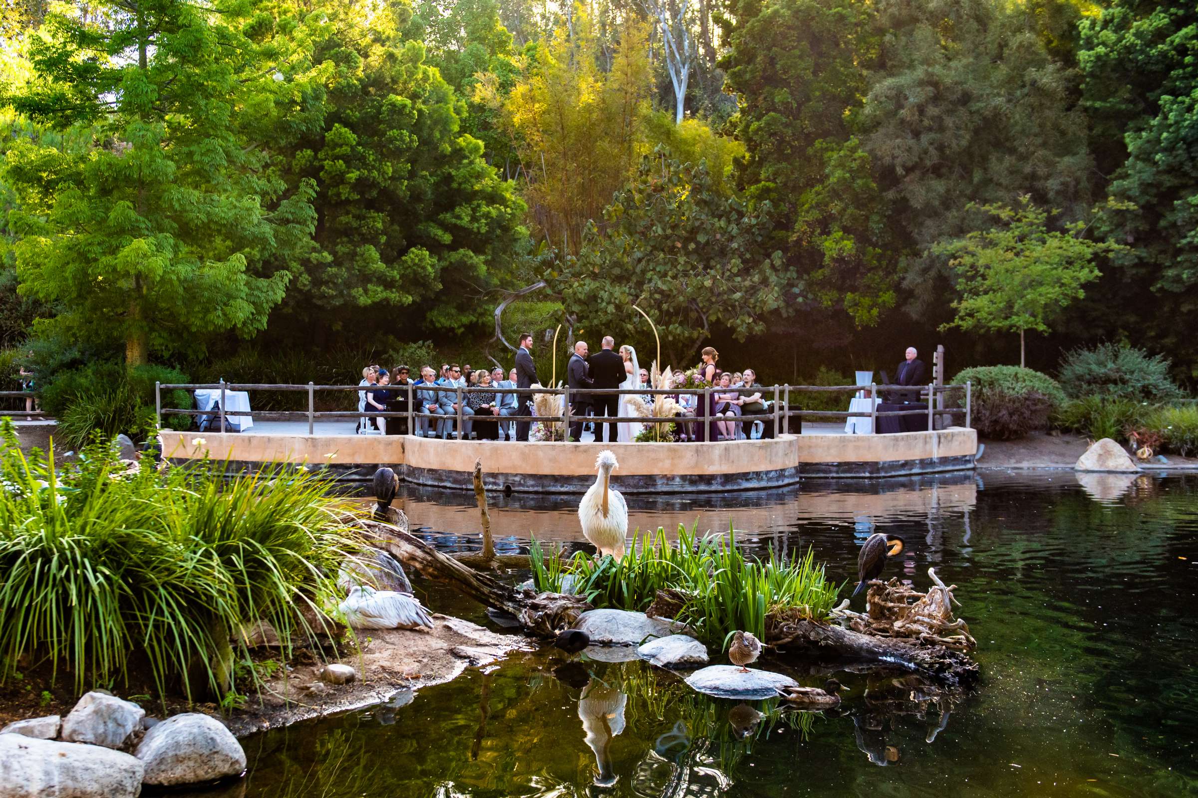 Safari Park Wedding coordinated by Always Flawless Productions, Stefanie and Travis Wedding Photo #69 by True Photography