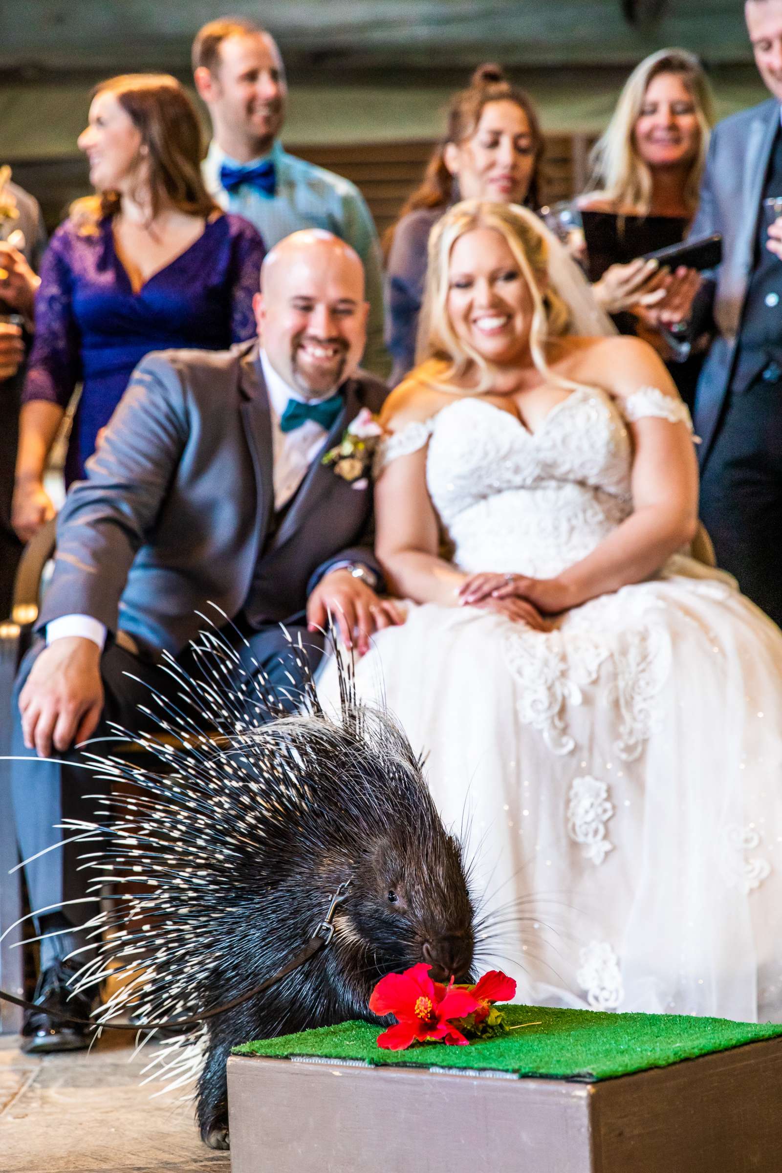 Safari Park Wedding coordinated by Always Flawless Productions, Stefanie and Travis Wedding Photo #86 by True Photography