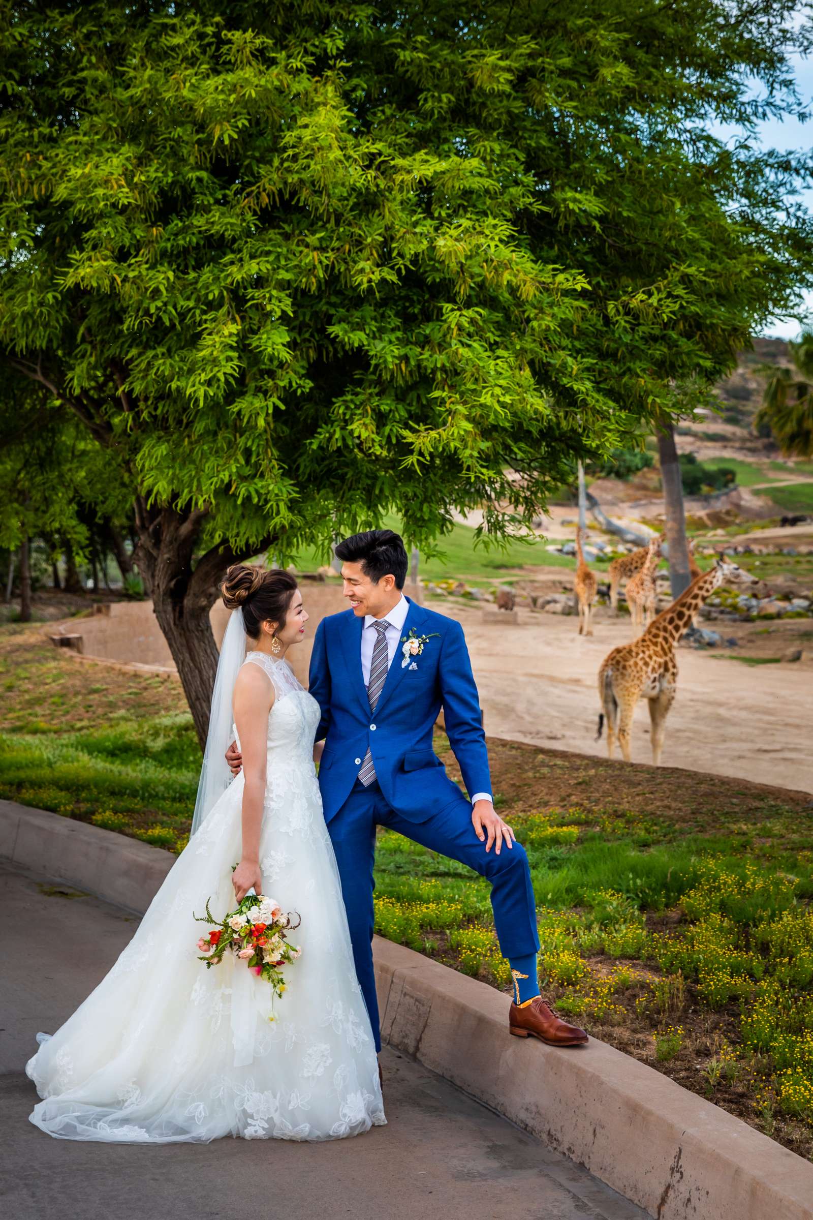 Safari Park Wedding coordinated by Holly Kalkin Weddings, Min and Edward Wedding Photo #539220 by True Photography