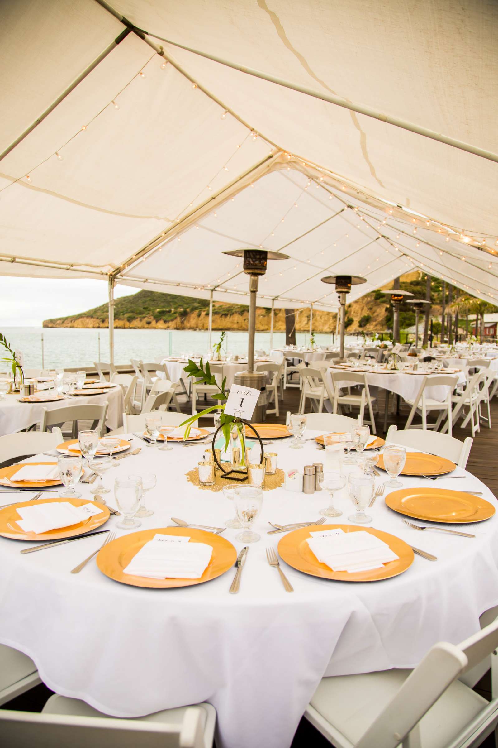 Ocean View Room Wedding coordinated by San Diego Life Events, Jenny and Brad Wedding Photo #186 by True Photography