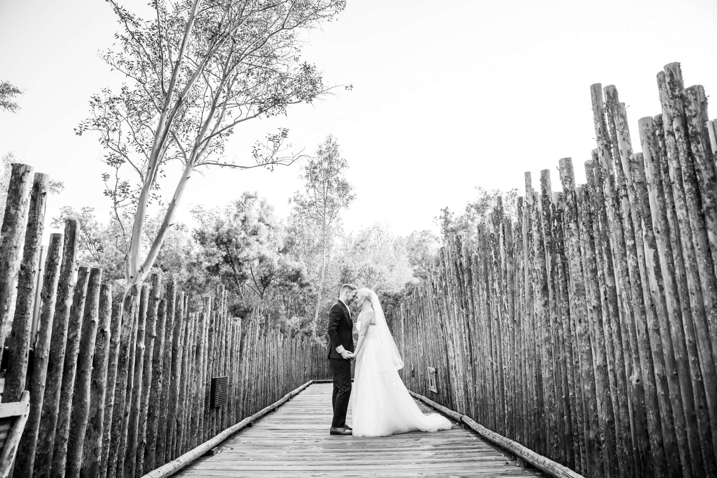 Safari Park Wedding, Madison and Christopher Wedding Photo #113 by True Photography