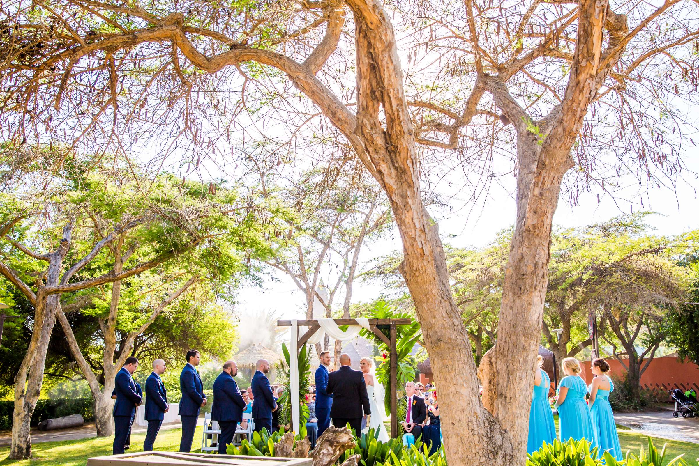Safari Park Wedding, Madison and Christopher Wedding Photo #58 by True Photography