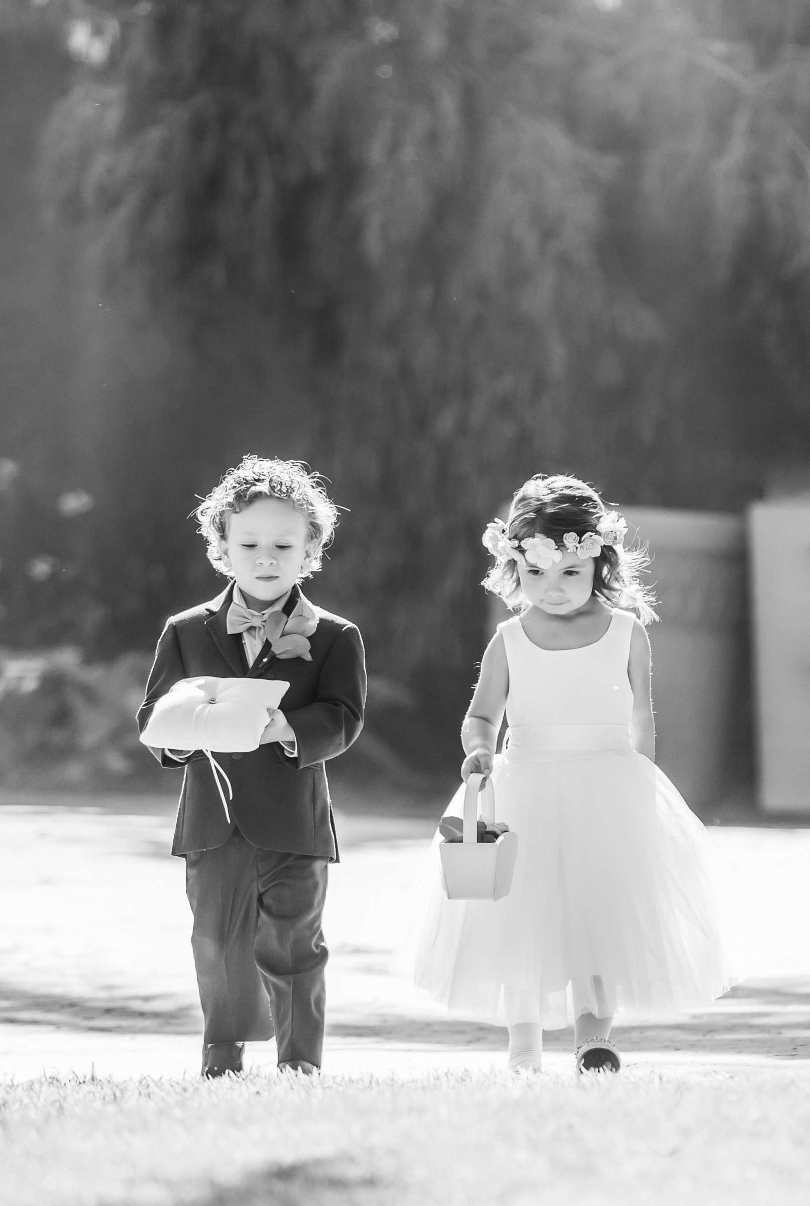 Safari Park Wedding, Madison and Christopher Wedding Photo #51 by True Photography