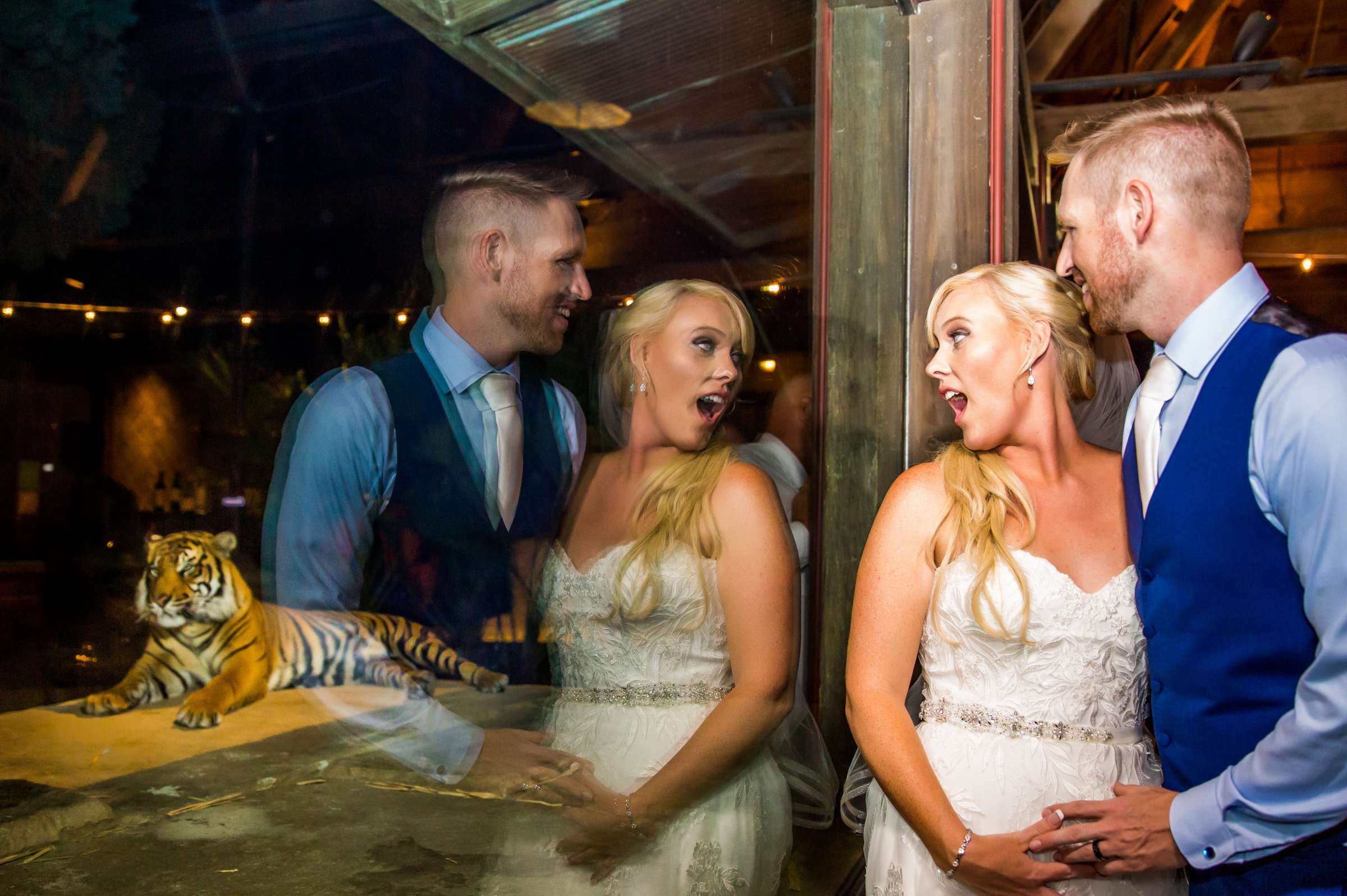 Safari Park Wedding, Madison and Christopher Wedding Photo #24 by True Photography