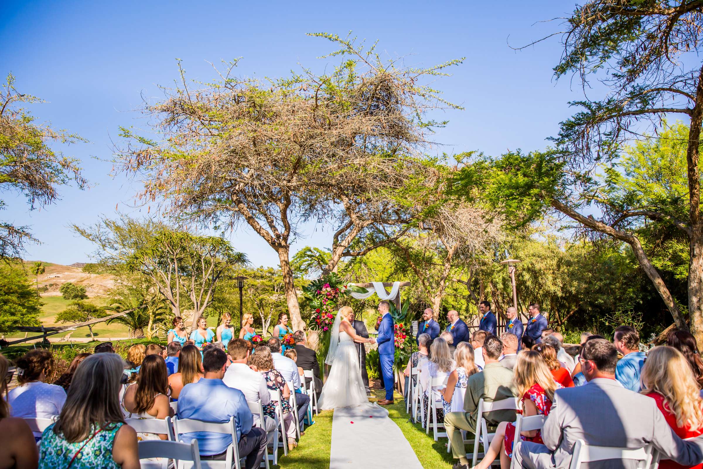 Safari Park Wedding, Madison and Christopher Wedding Photo #18 by True Photography